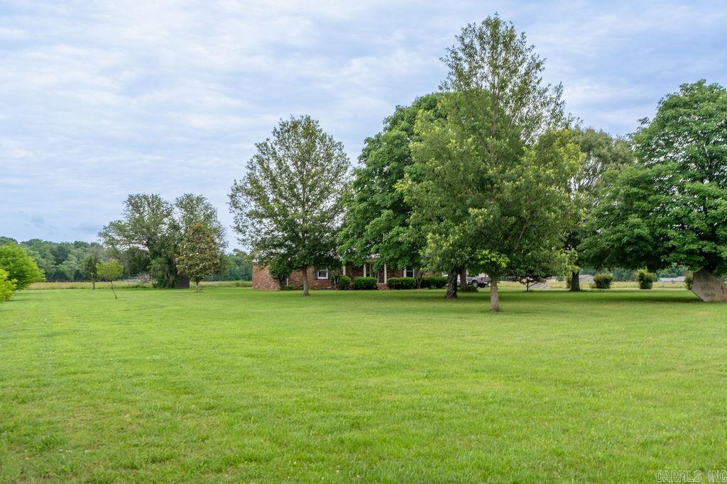 7789 Wilburn Road Property Photo 41