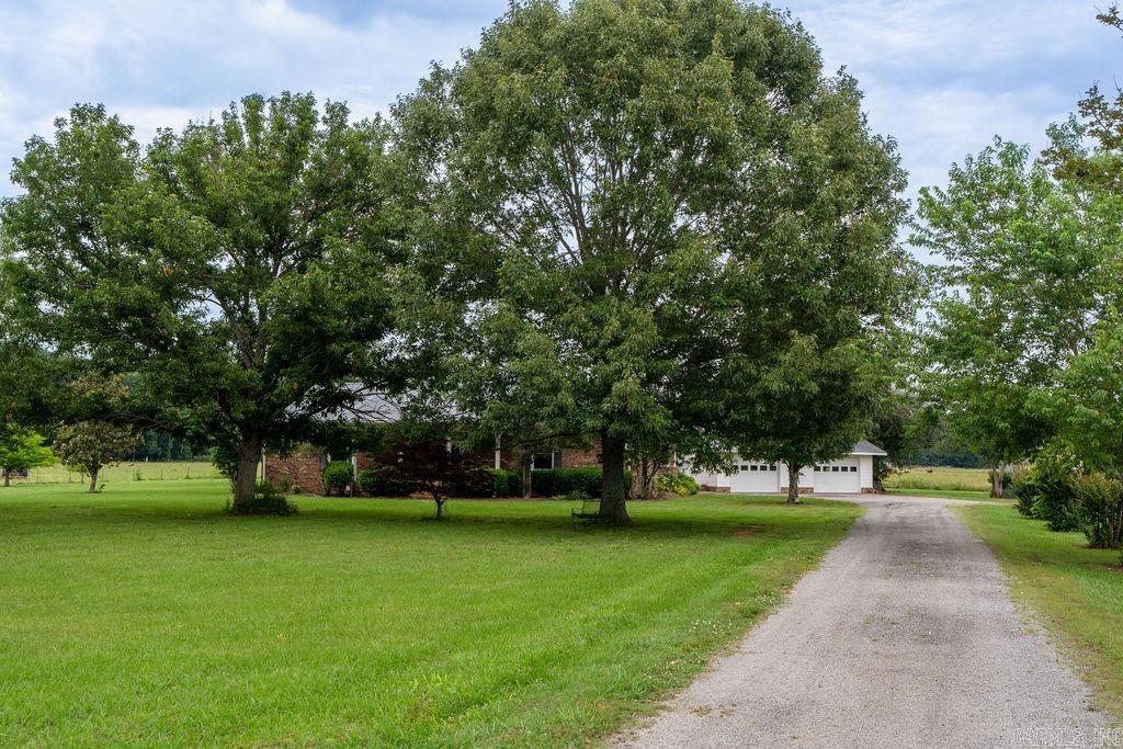 7789 Wilburn Road Property Photo 42