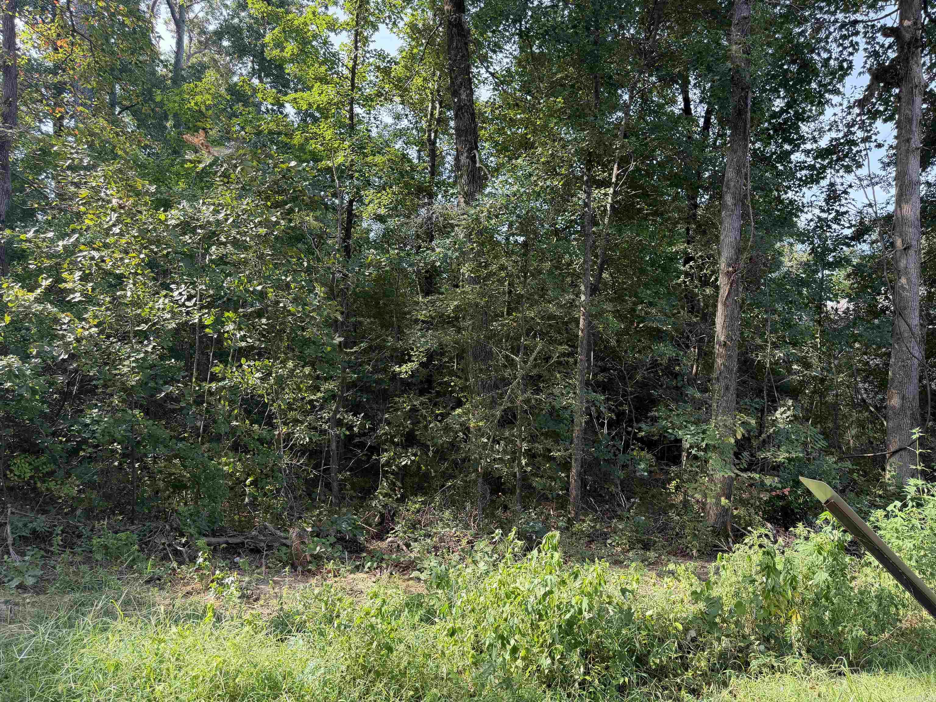 0 Castle Valley Road Property Photo 3