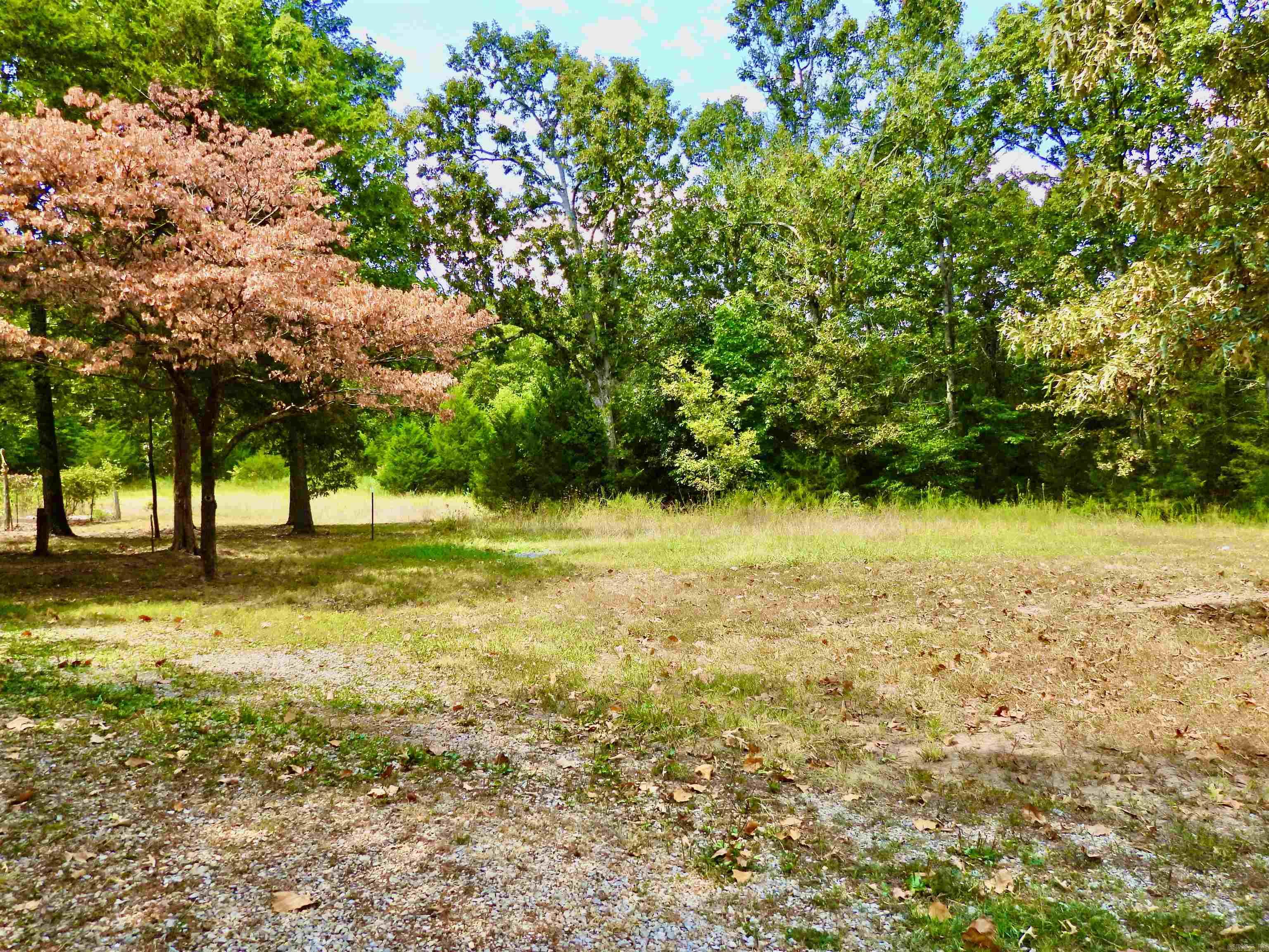 2372 Highway 289 N Property Photo 5
