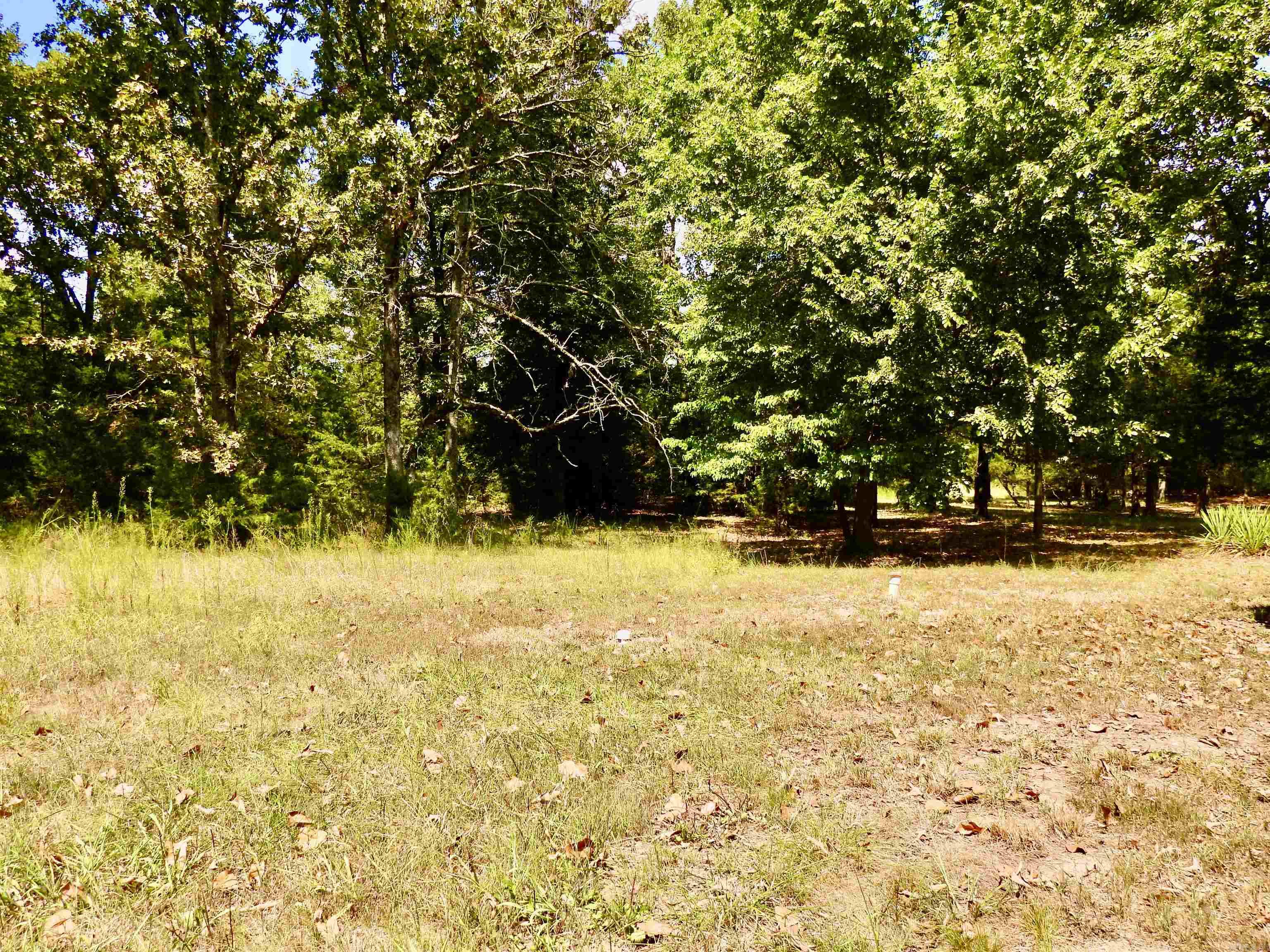 2372 Highway 289 N Property Photo 6