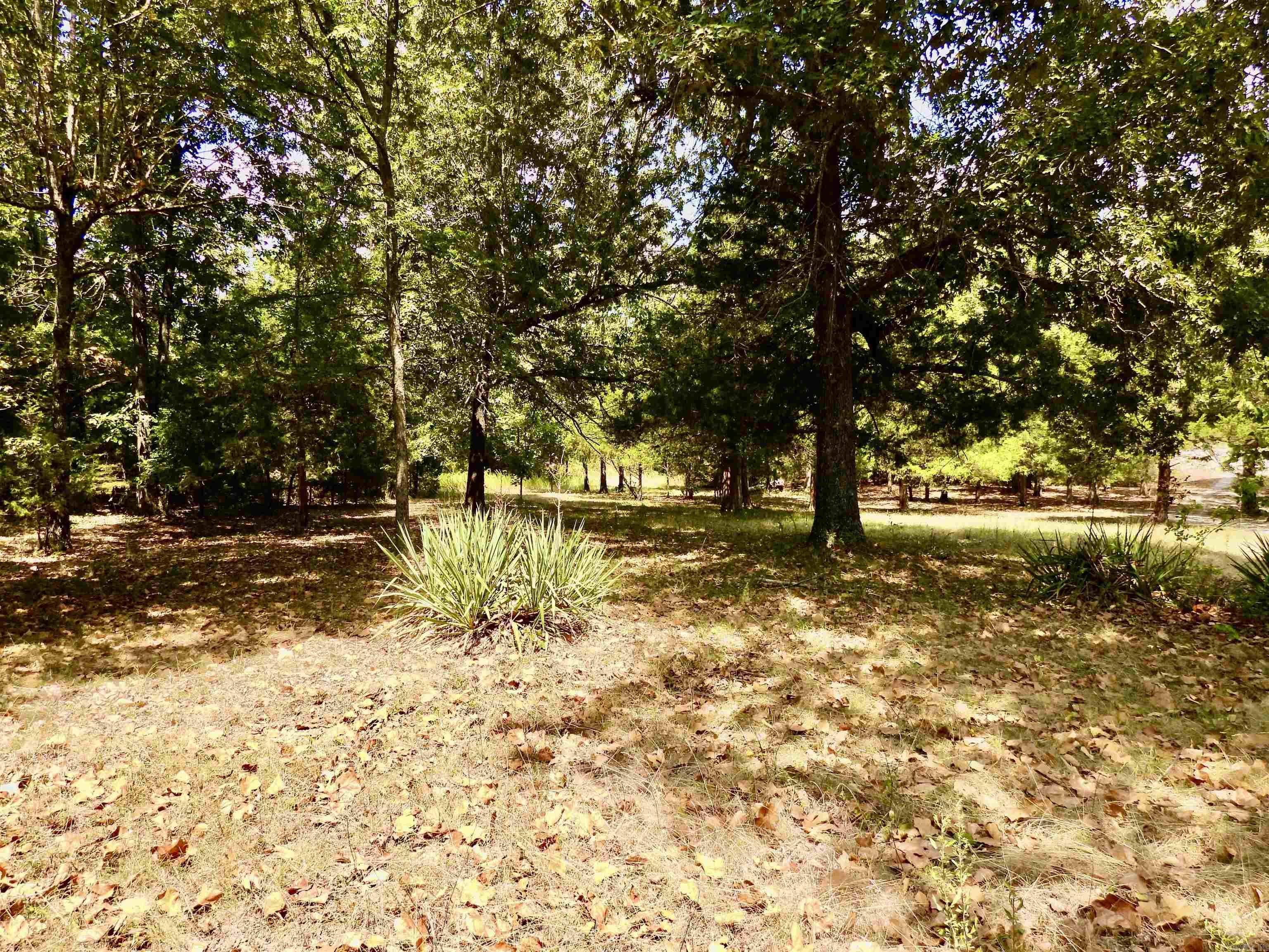 2372 Highway 289 N Property Photo 7