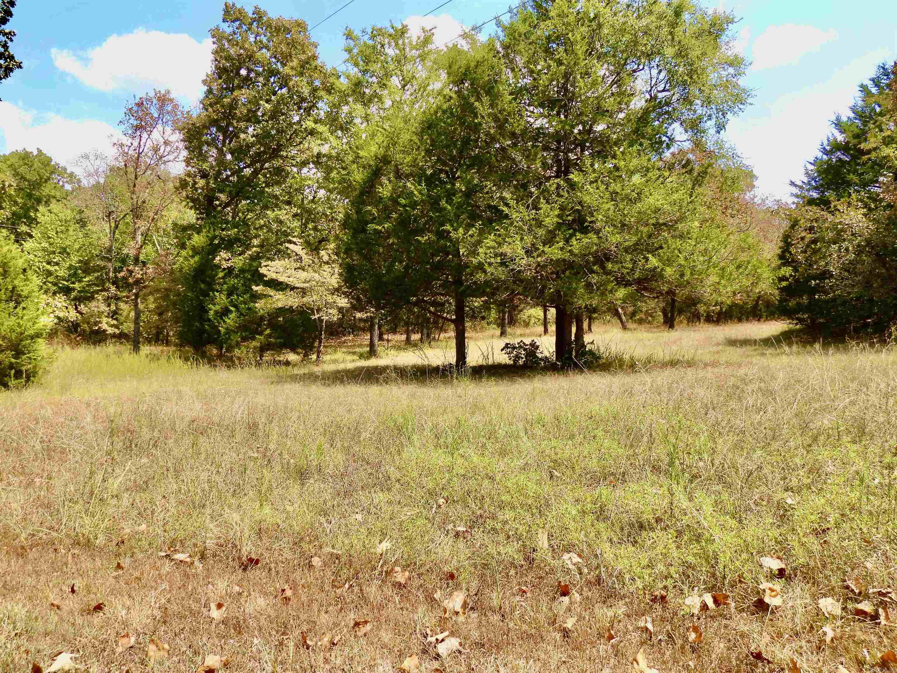 2372 Highway 289 N Property Photo 8