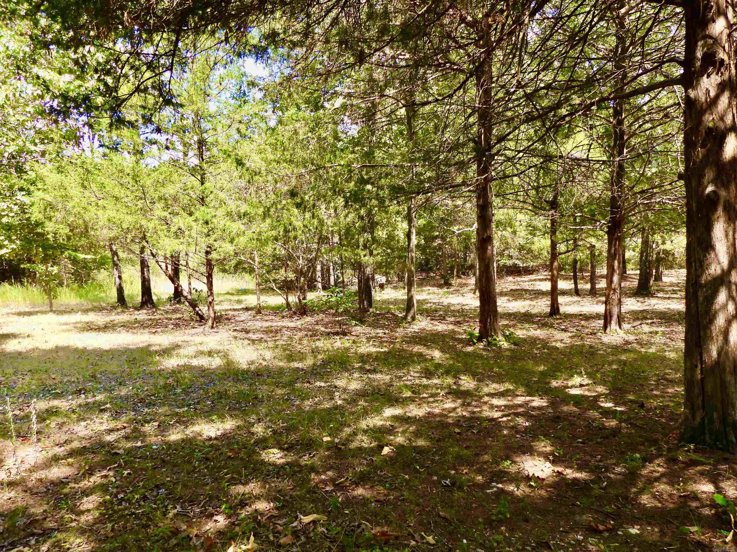 2372 Highway 289 N Property Photo 9
