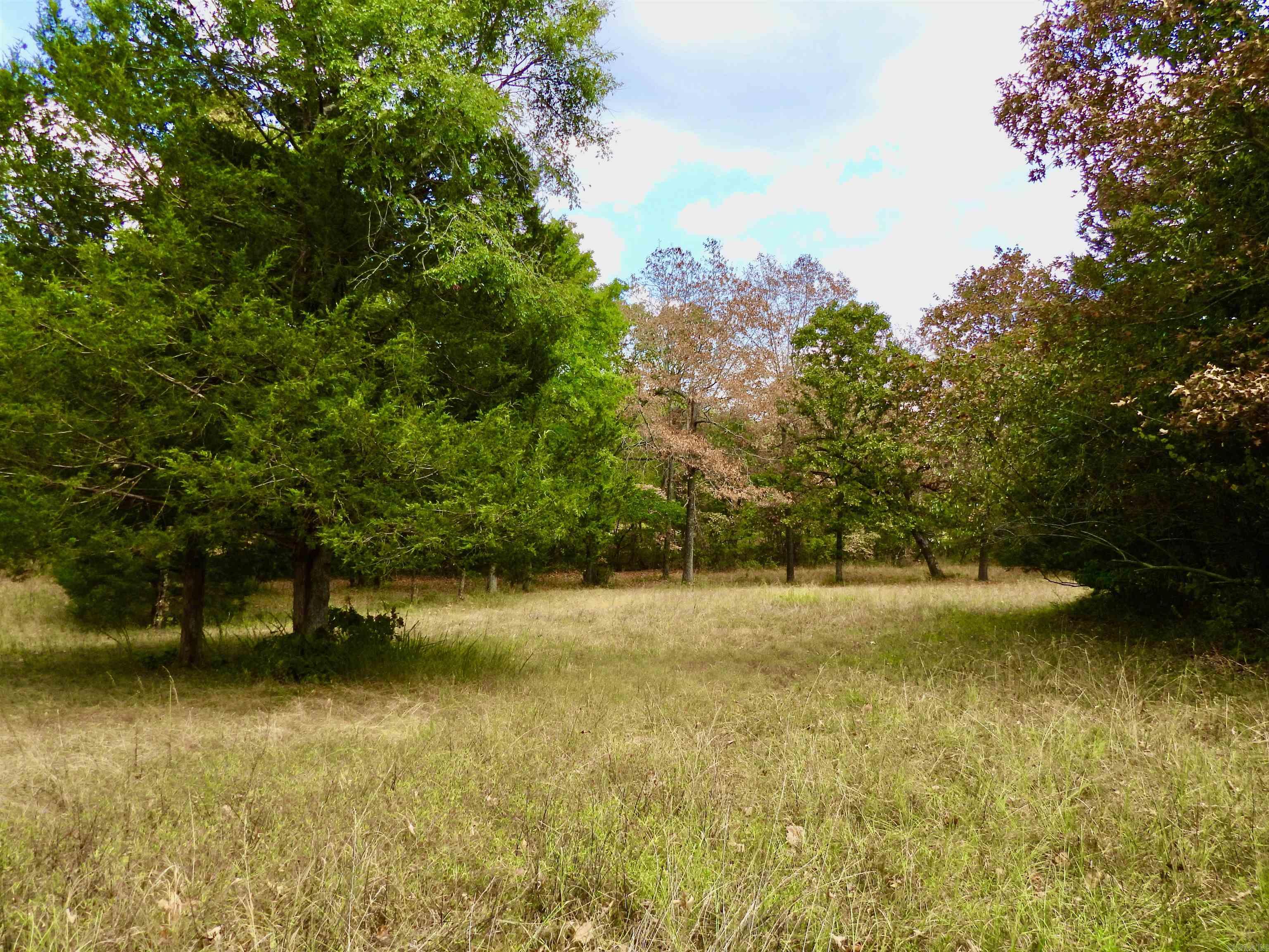 2372 Highway 289 N Property Photo 10