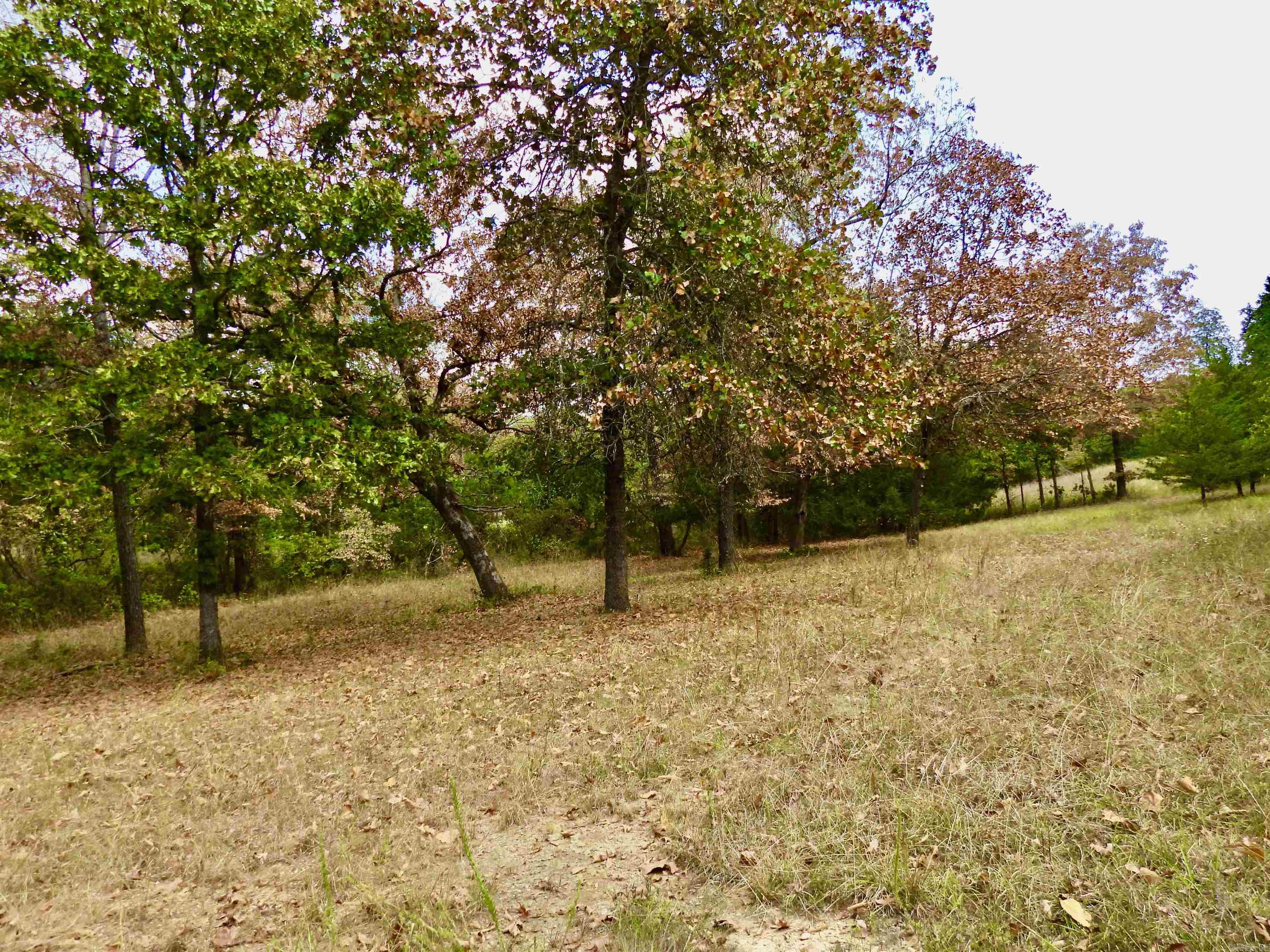 2372 Highway 289 N Property Photo 11