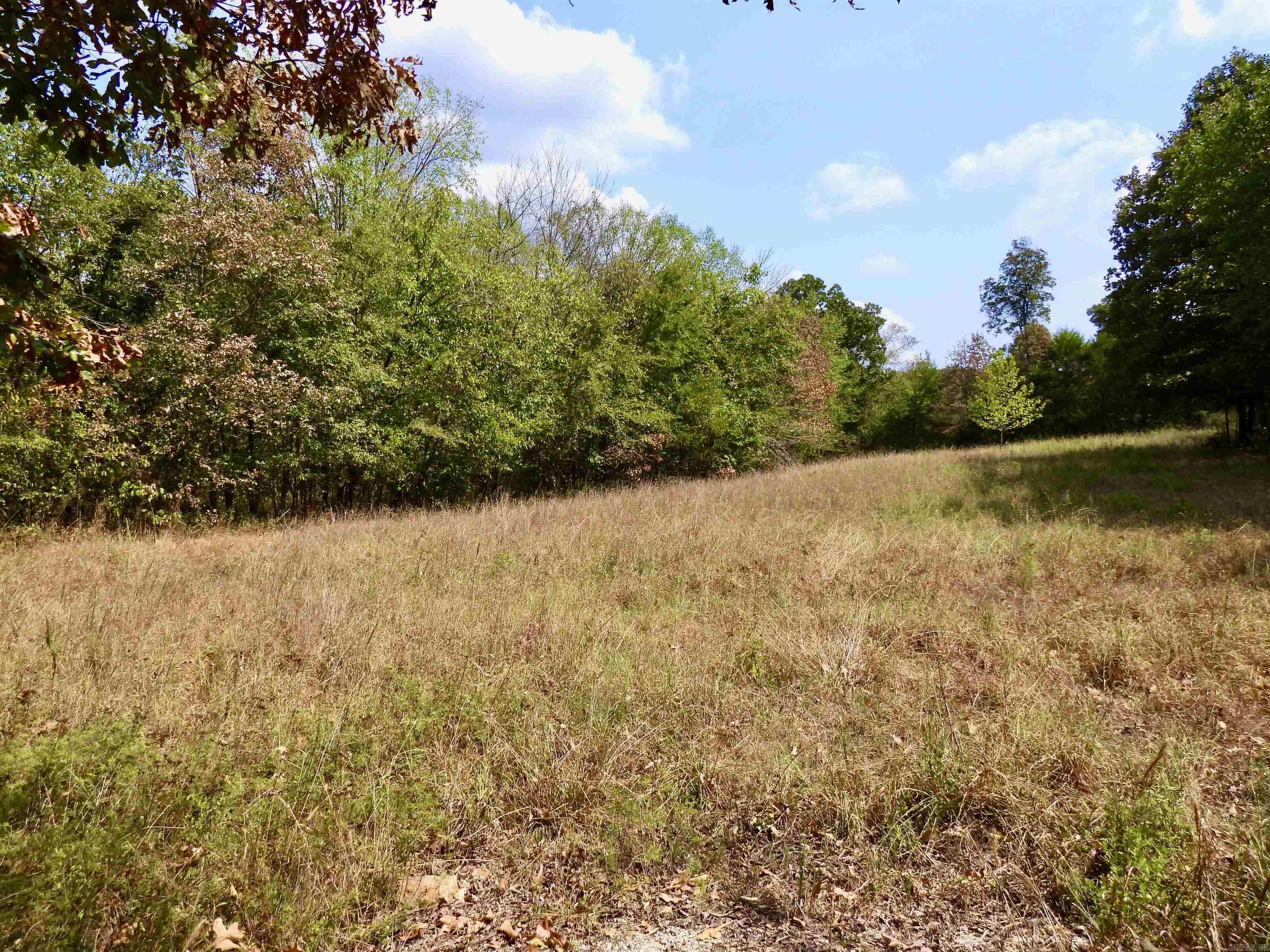 2372 Highway 289 N Property Photo 13