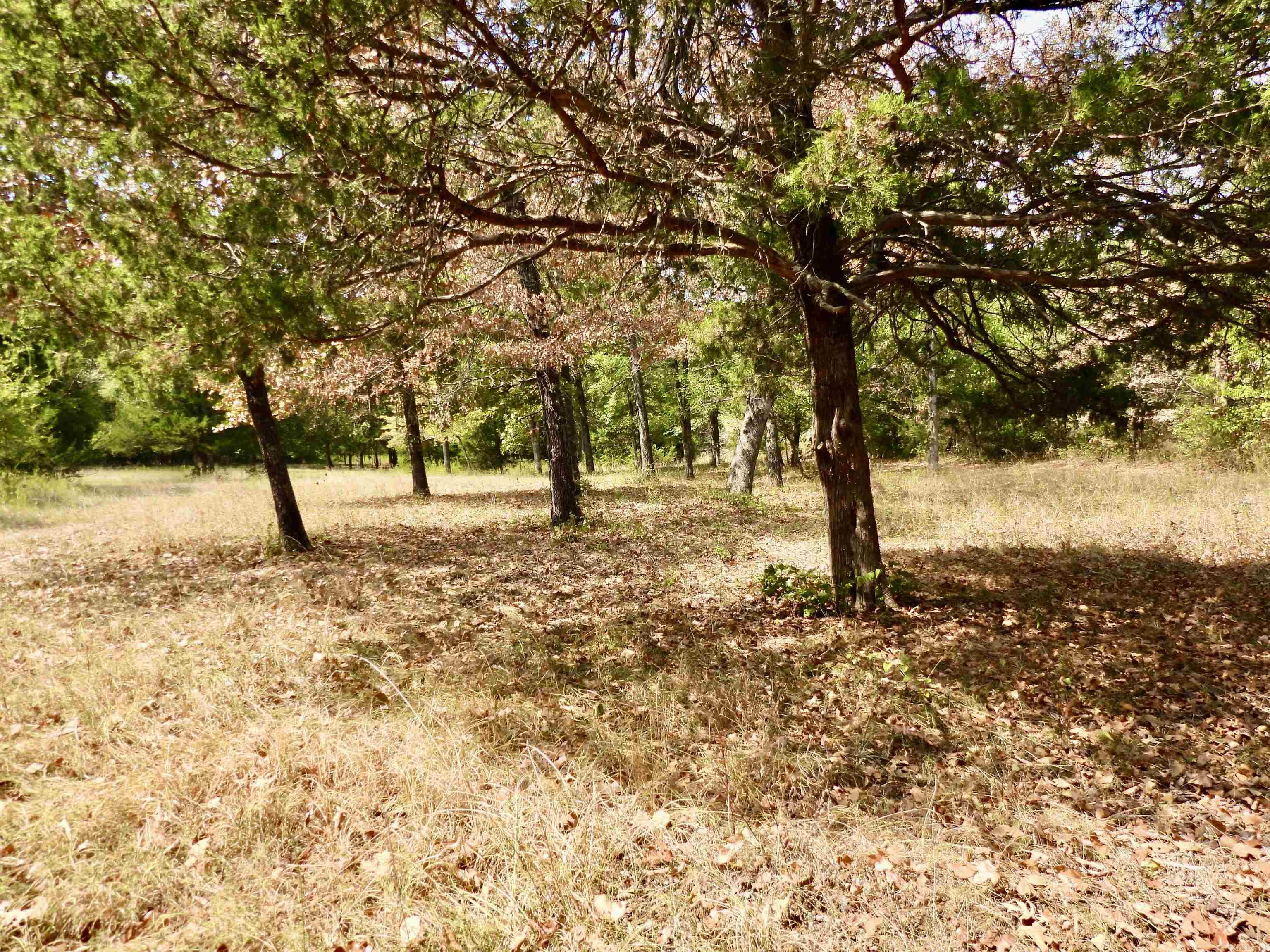2372 Highway 289 N Property Photo 14
