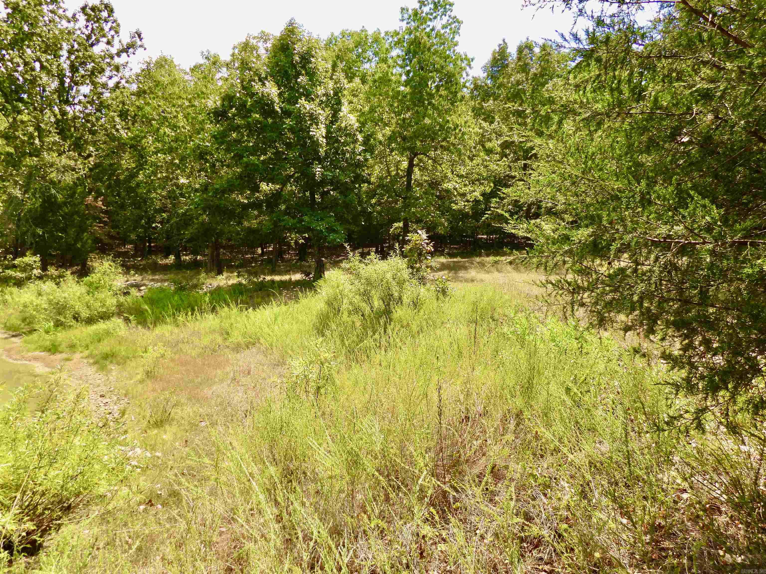 2372 Highway 289 N Property Photo 15