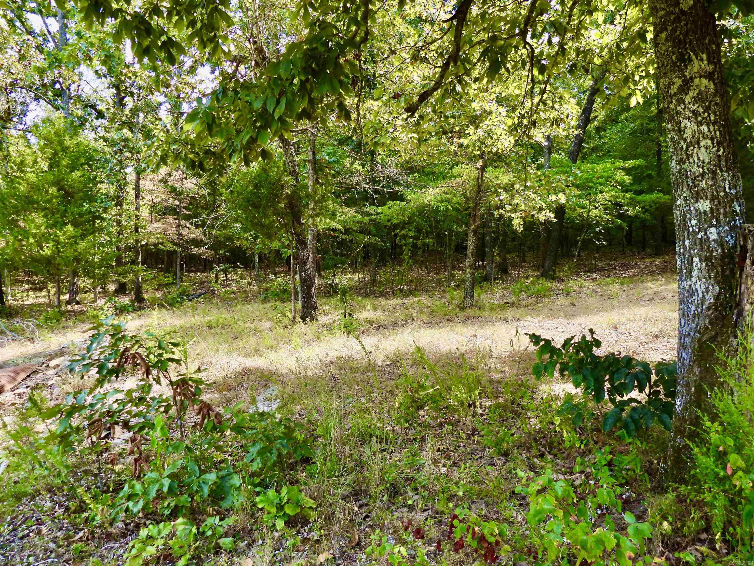2372 Highway 289 N Property Photo 16