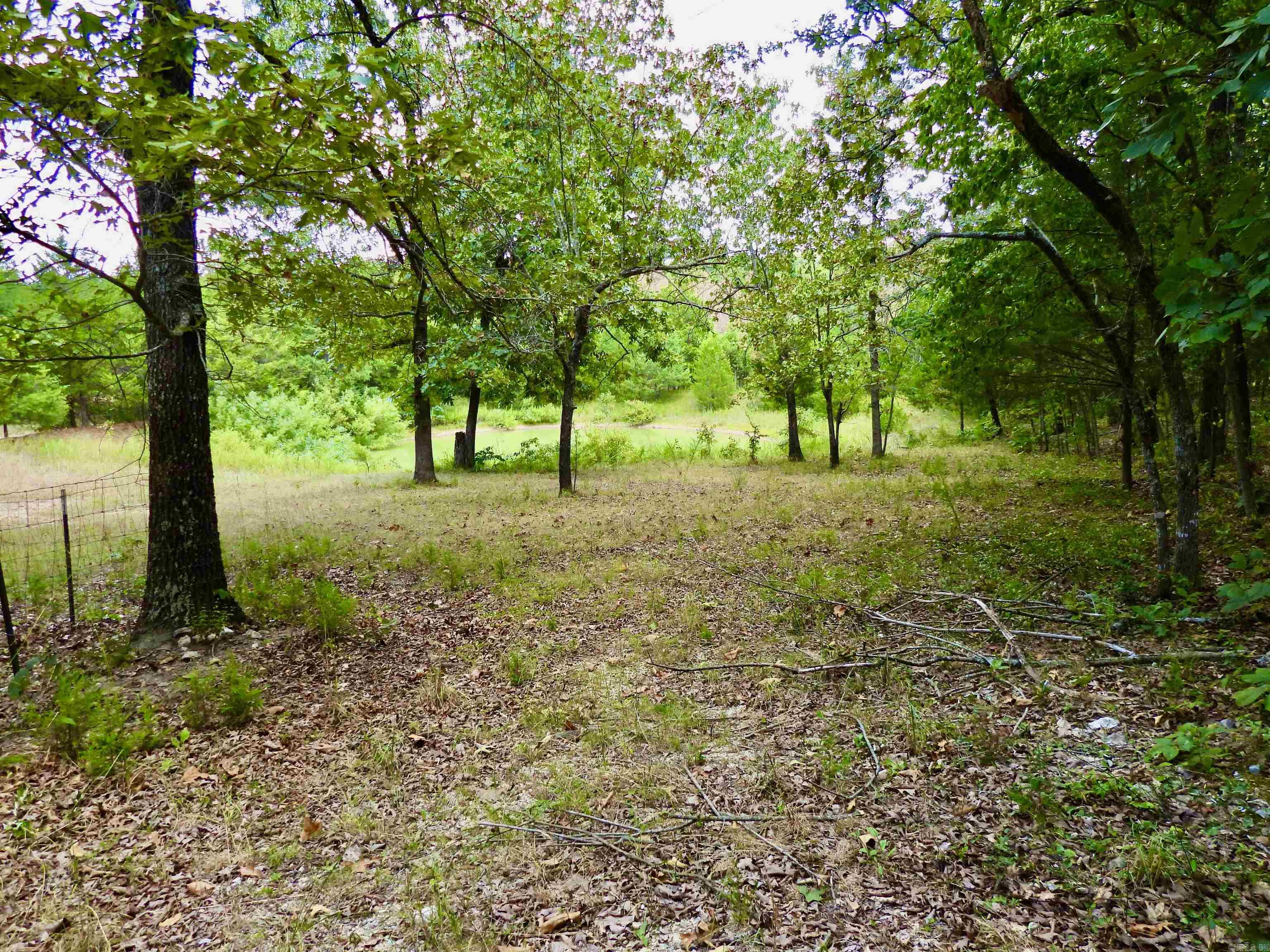 2372 Highway 289 N Property Photo 17