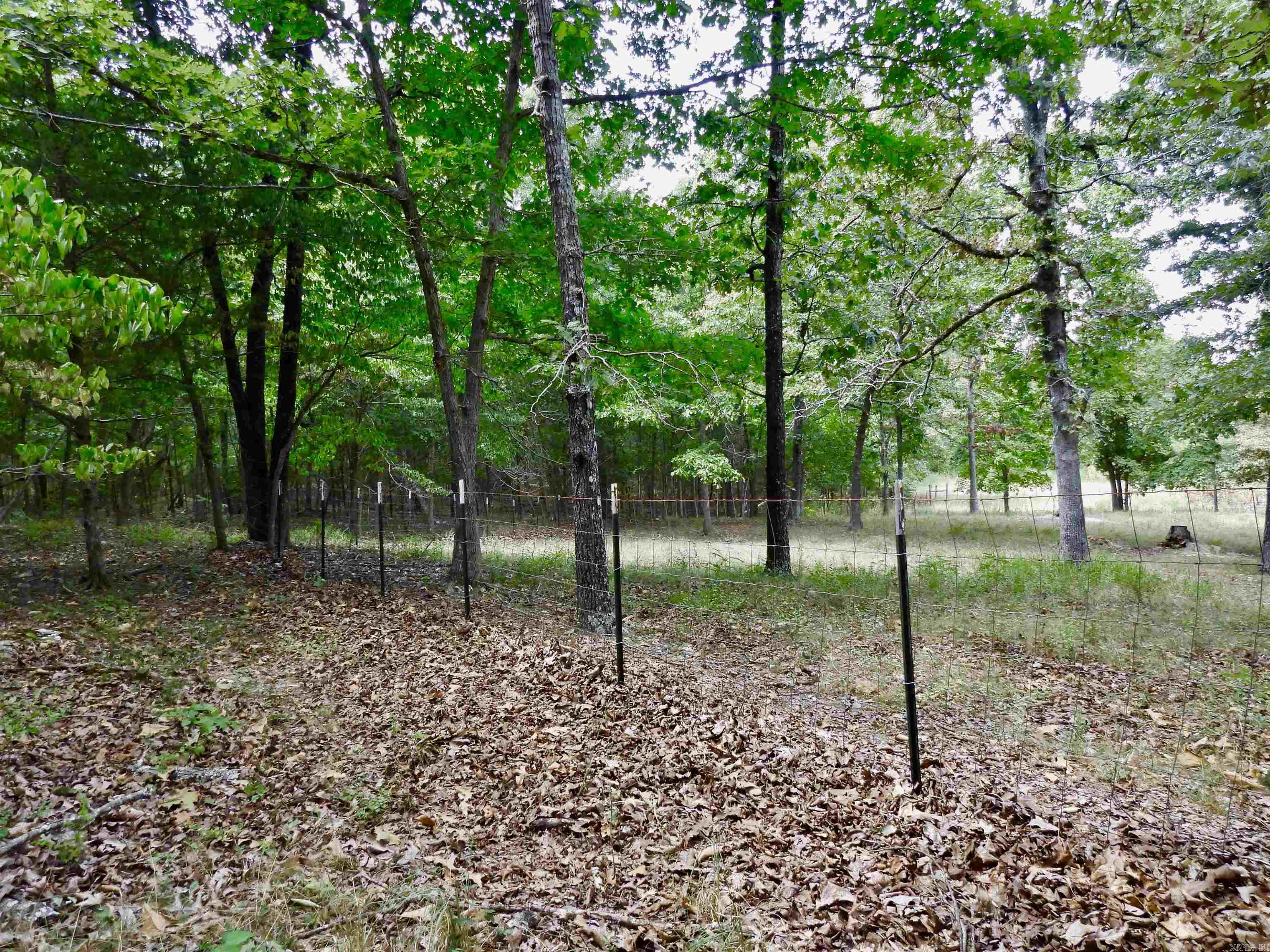 2372 Highway 289 N Property Photo 19