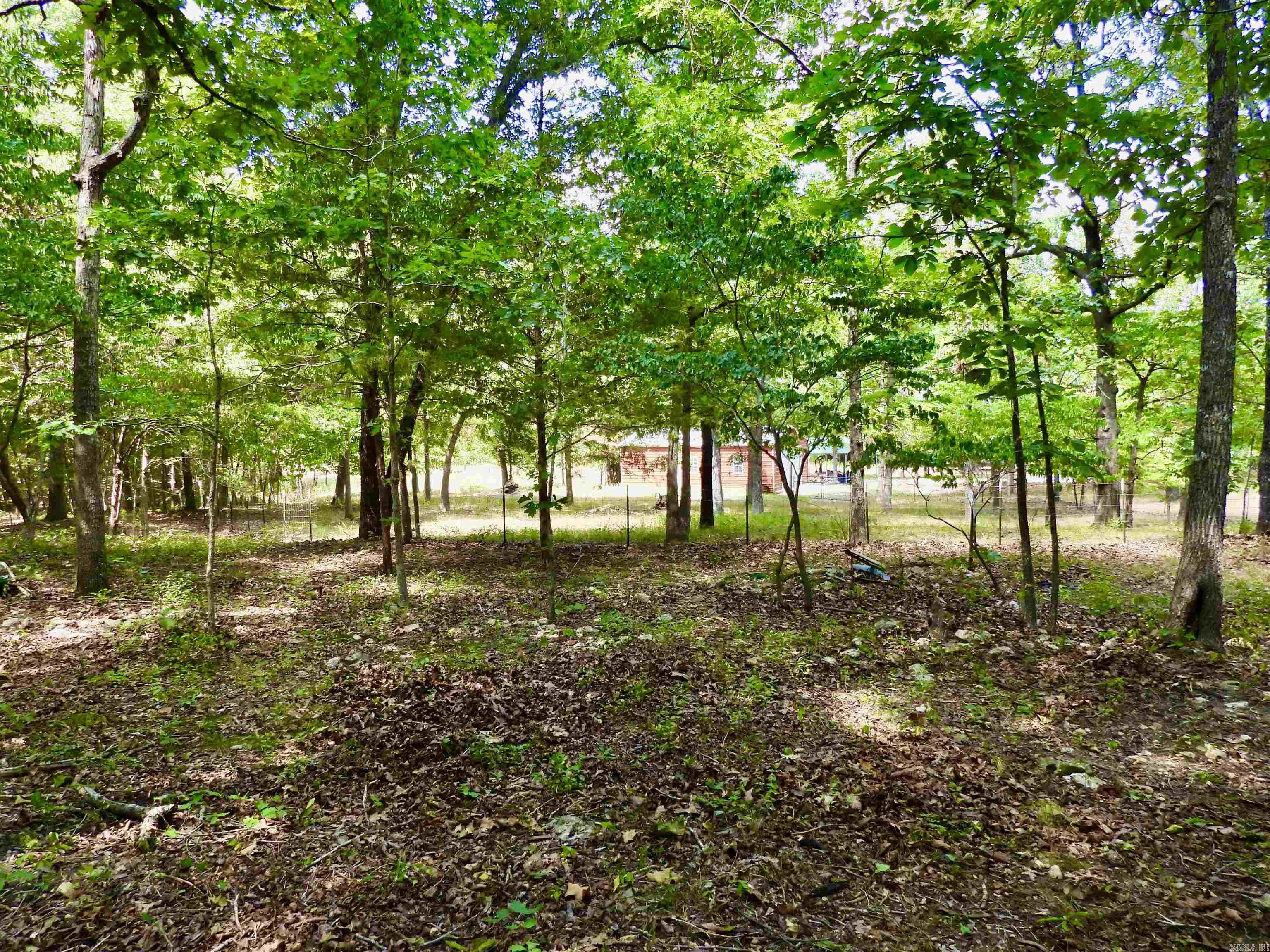 2372 Highway 289 N Property Photo 20