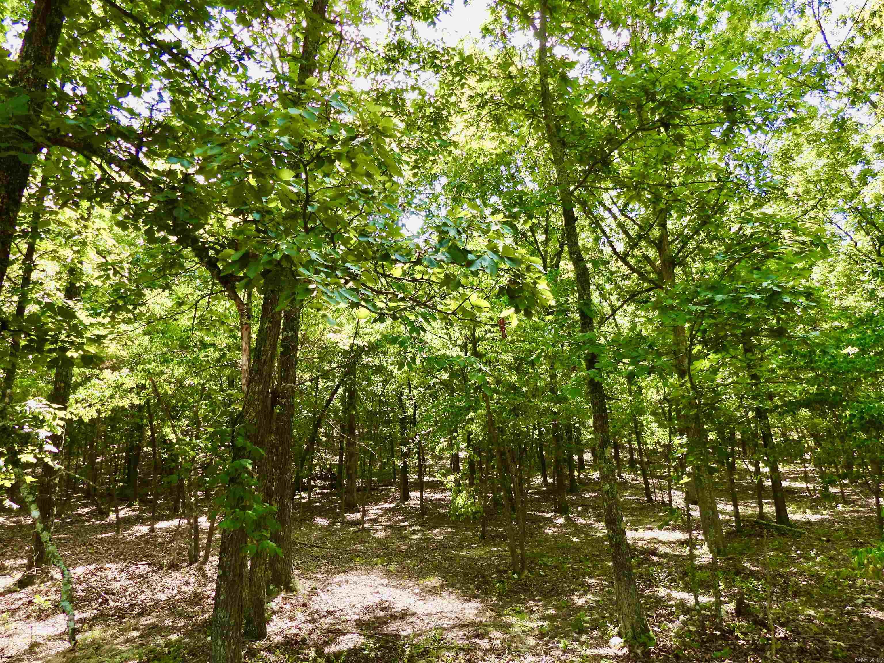 2372 Highway 289 N Property Photo 21