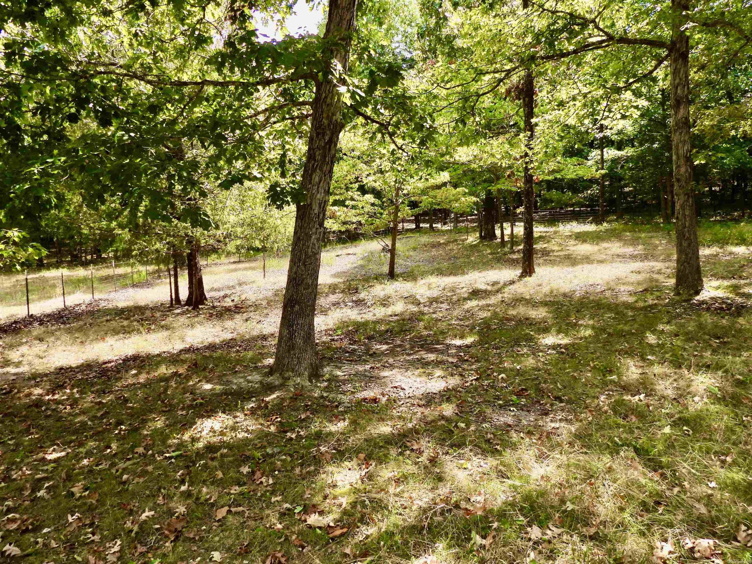 2372 Highway 289 N Property Photo 22
