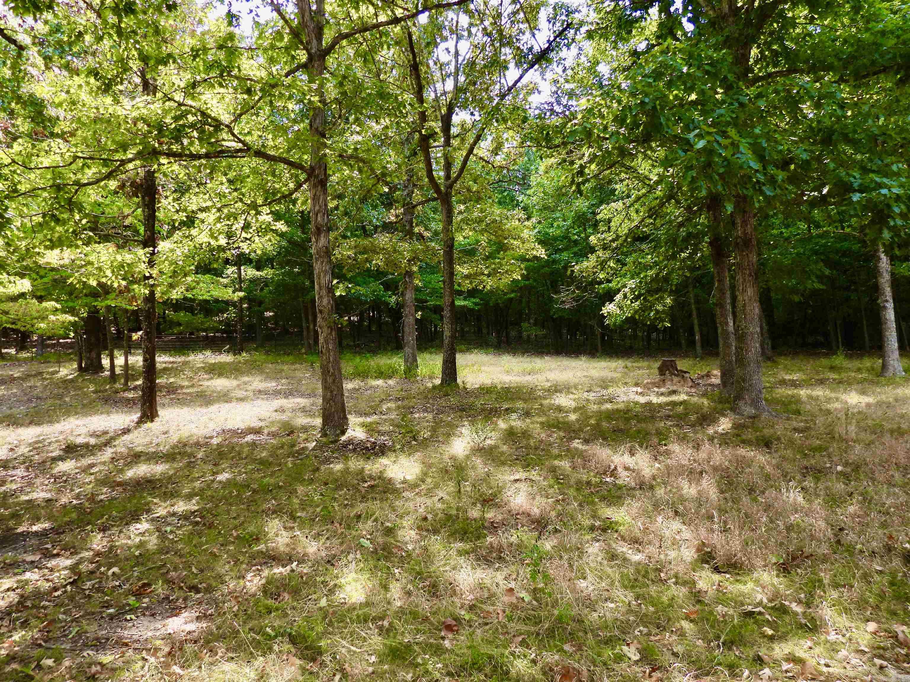 2372 Highway 289 N Property Photo 23