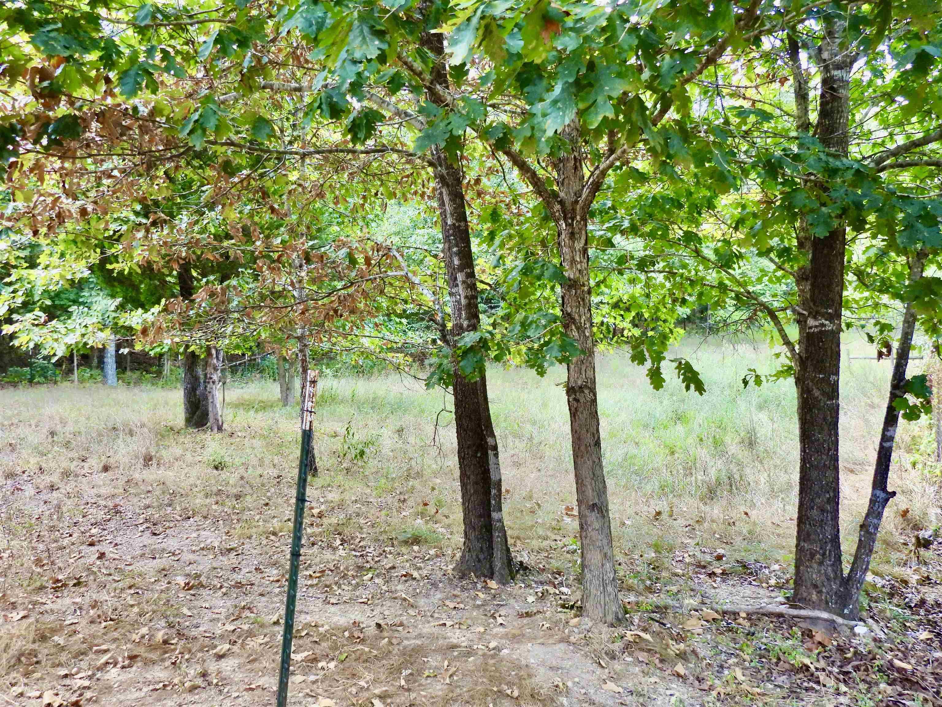 2372 Highway 289 N Property Photo 25