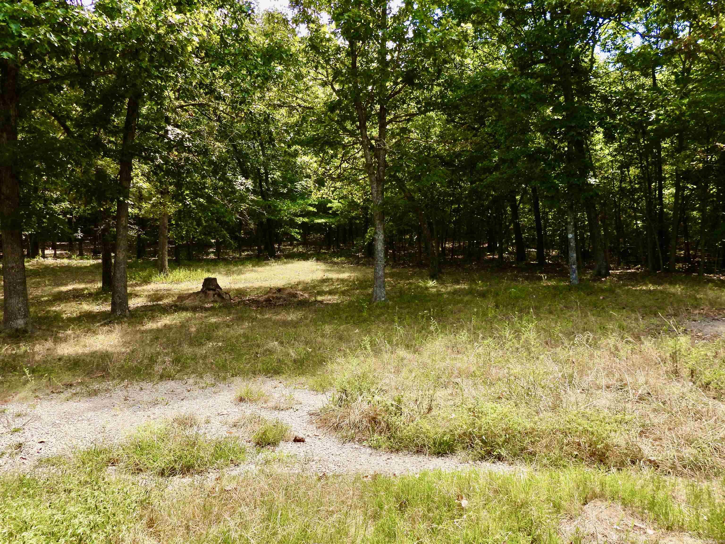 2372 Highway 289 N Property Photo 26
