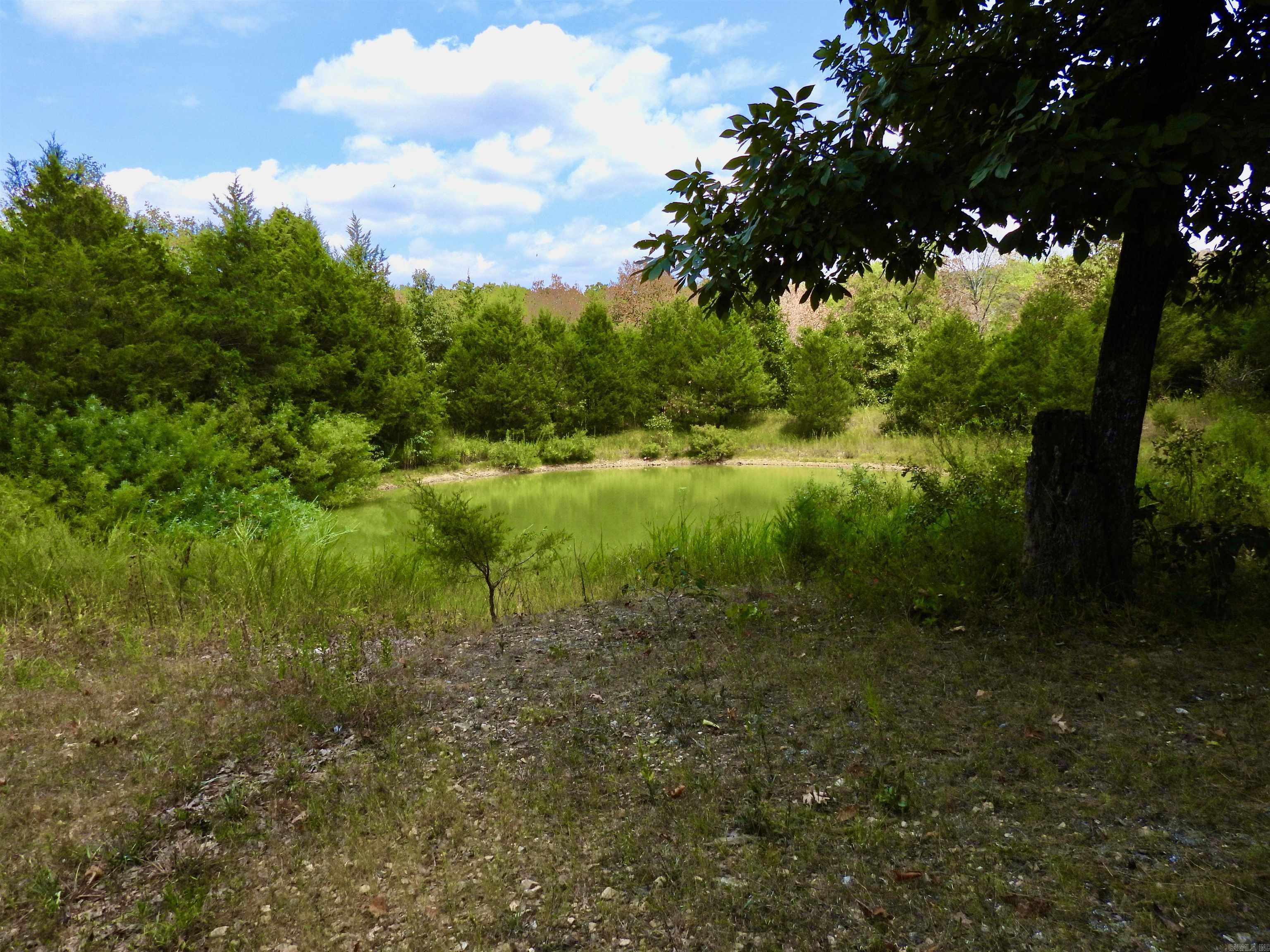 2372 Highway 289 N Property Photo 27