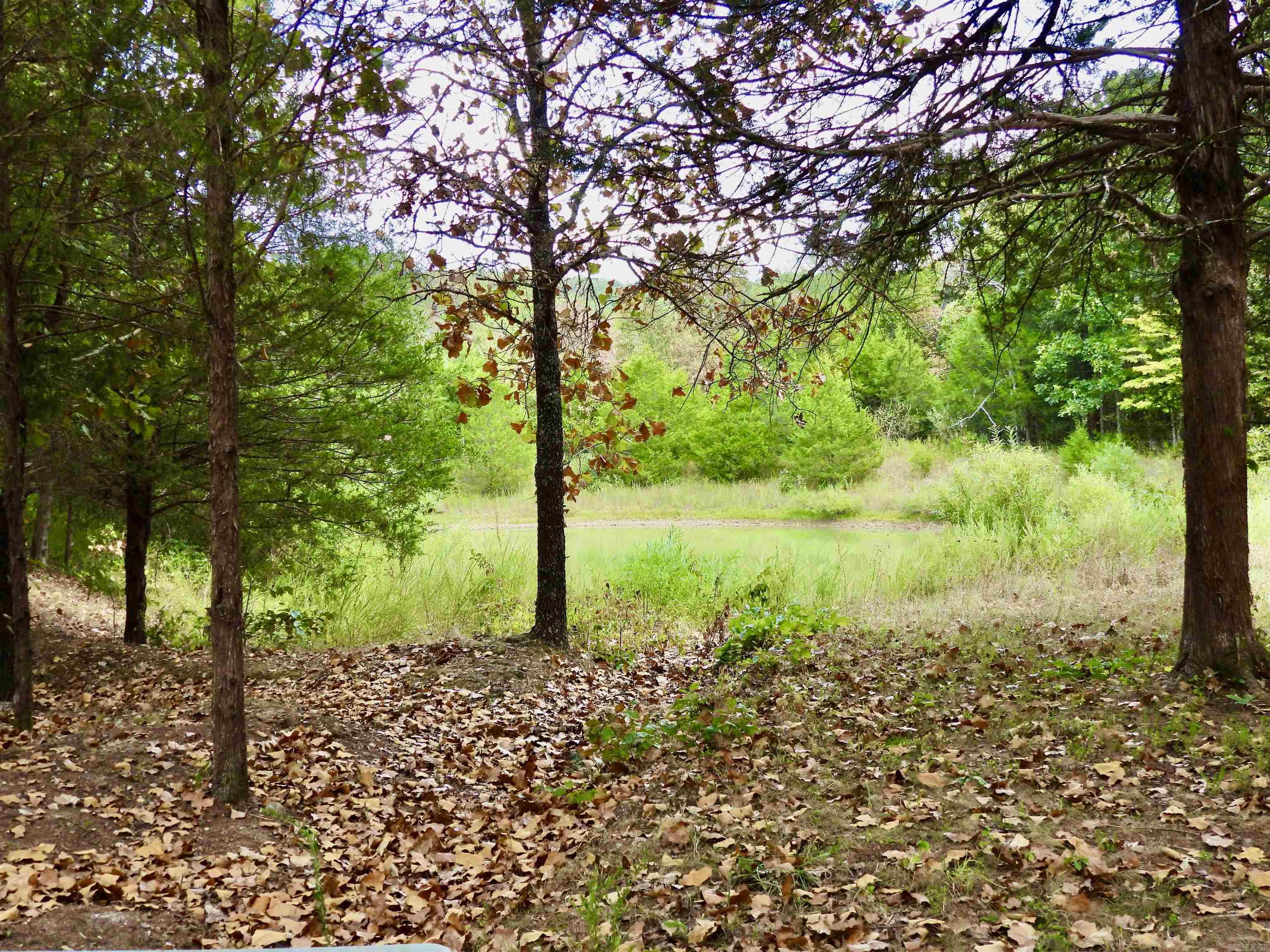 2372 Highway 289 N Property Photo 28