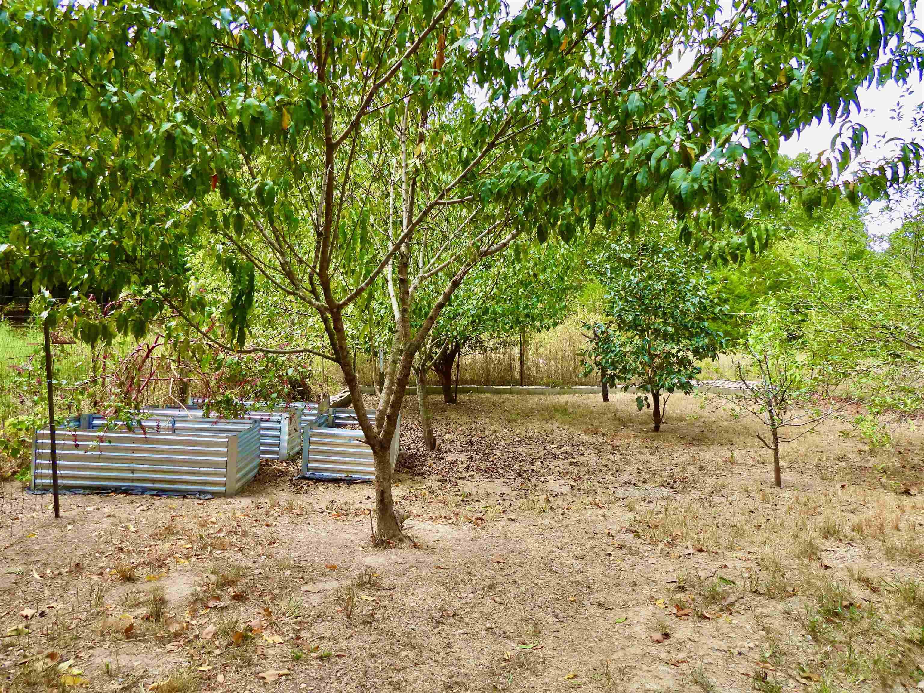 2372 Highway 289 N Property Photo 45
