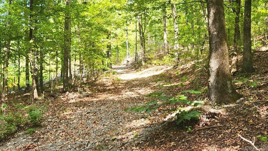 47 Uphill Trail Property Photo 34