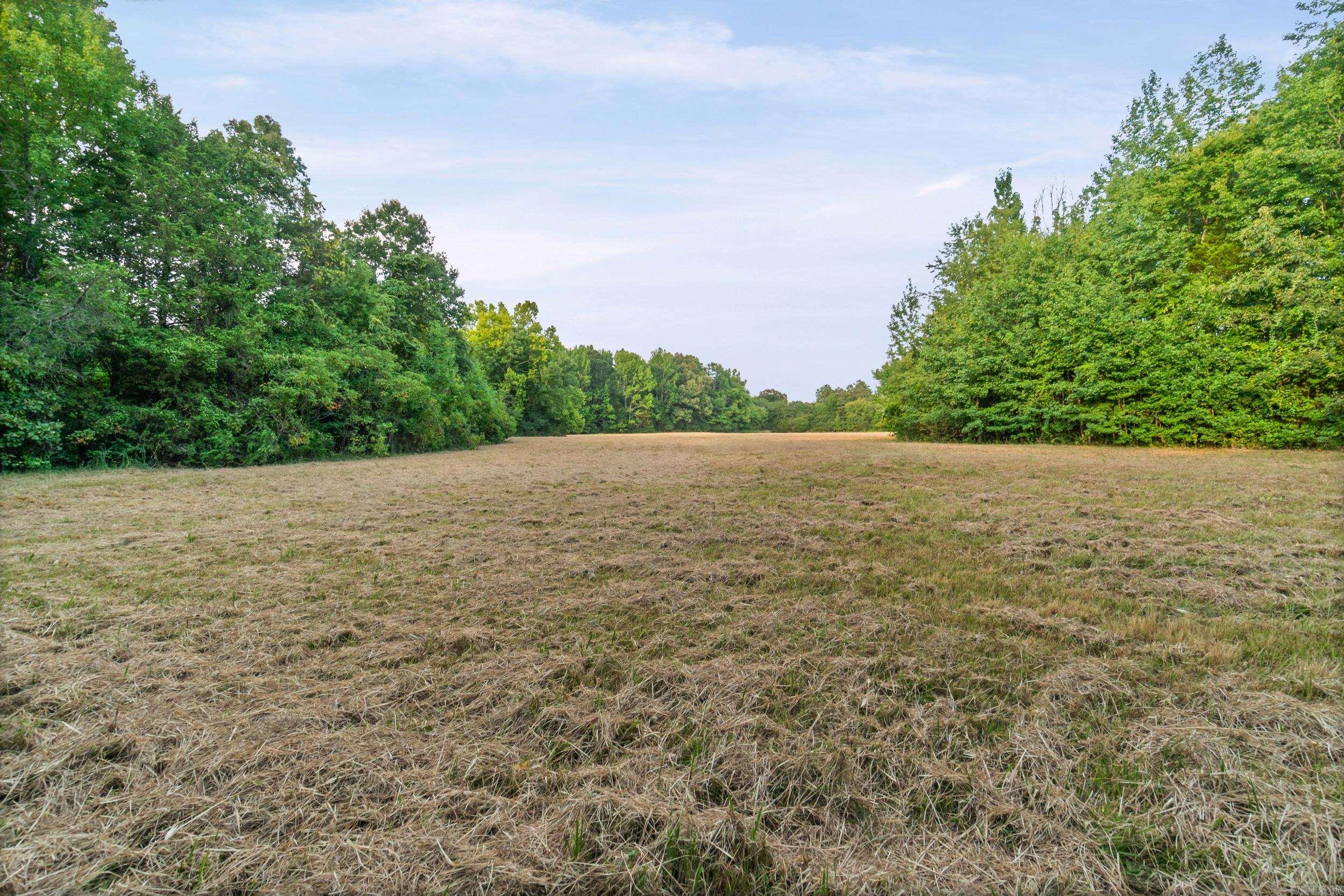000 Highway 36 Property Photo 6