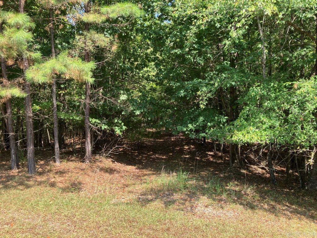 218 Thompson Creek Ln Lane Property Photo 44