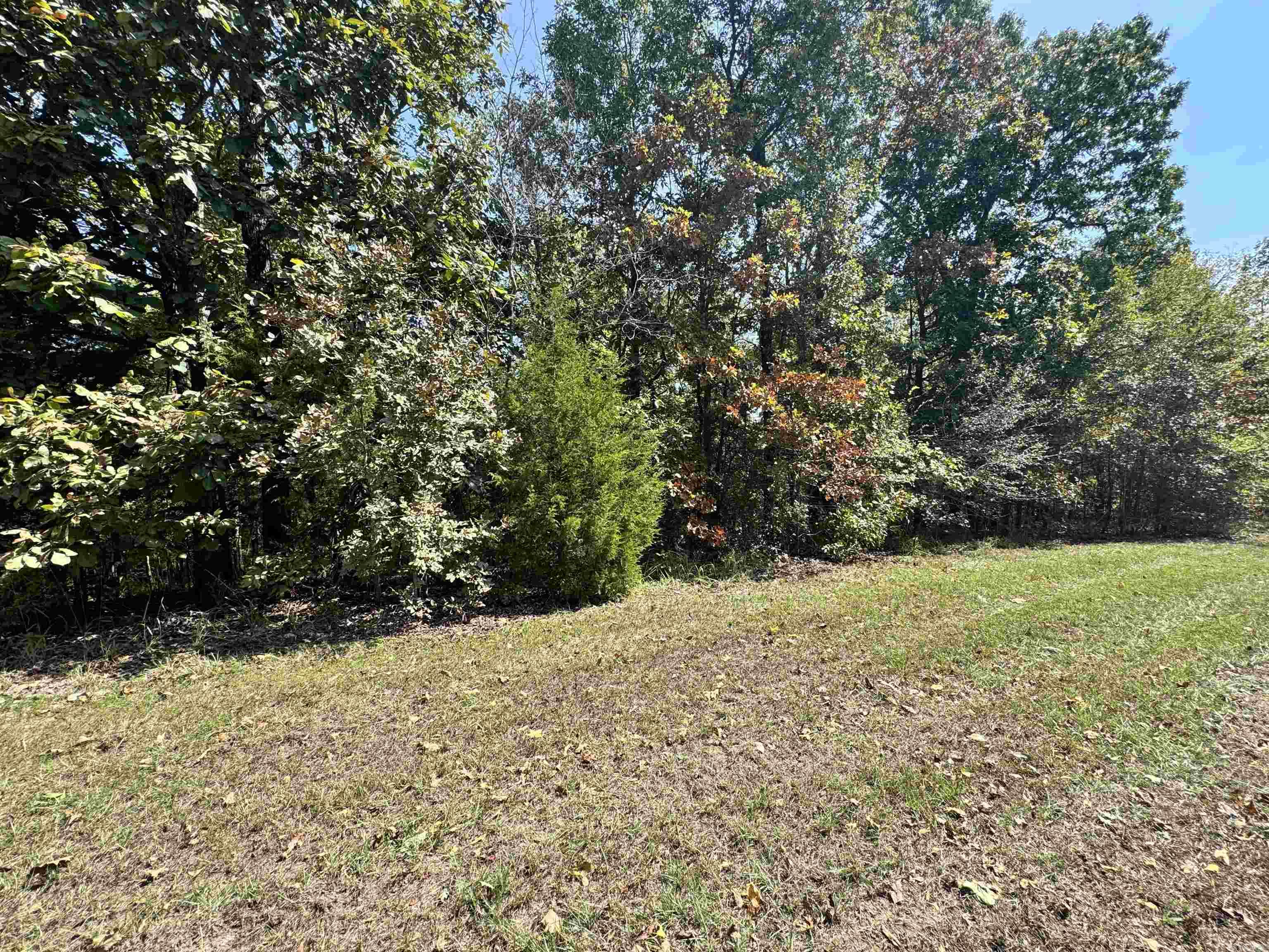 19998 Undersprings Drive Property Photo 2