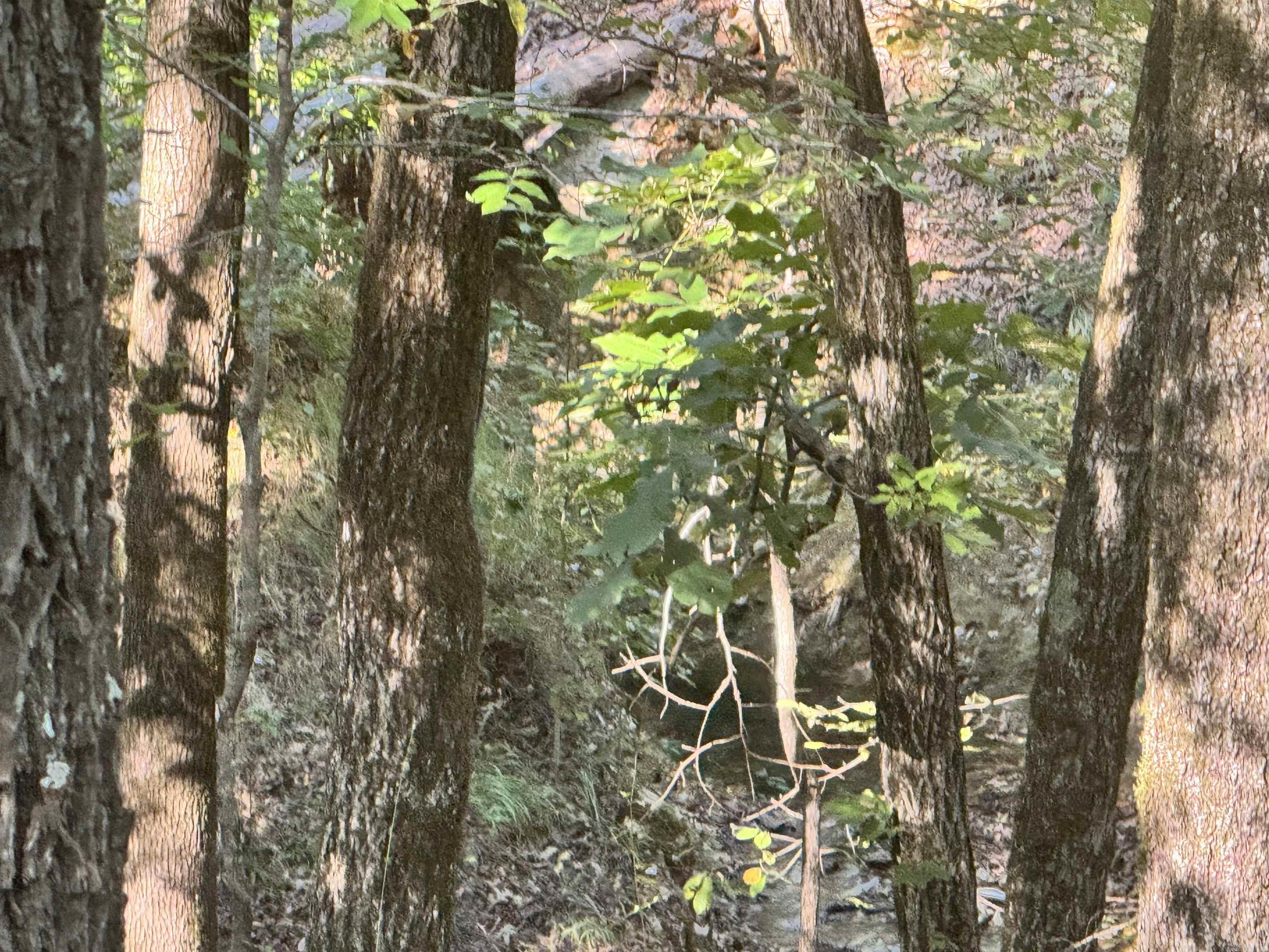 19998 Undersprings Drive Property Photo 25
