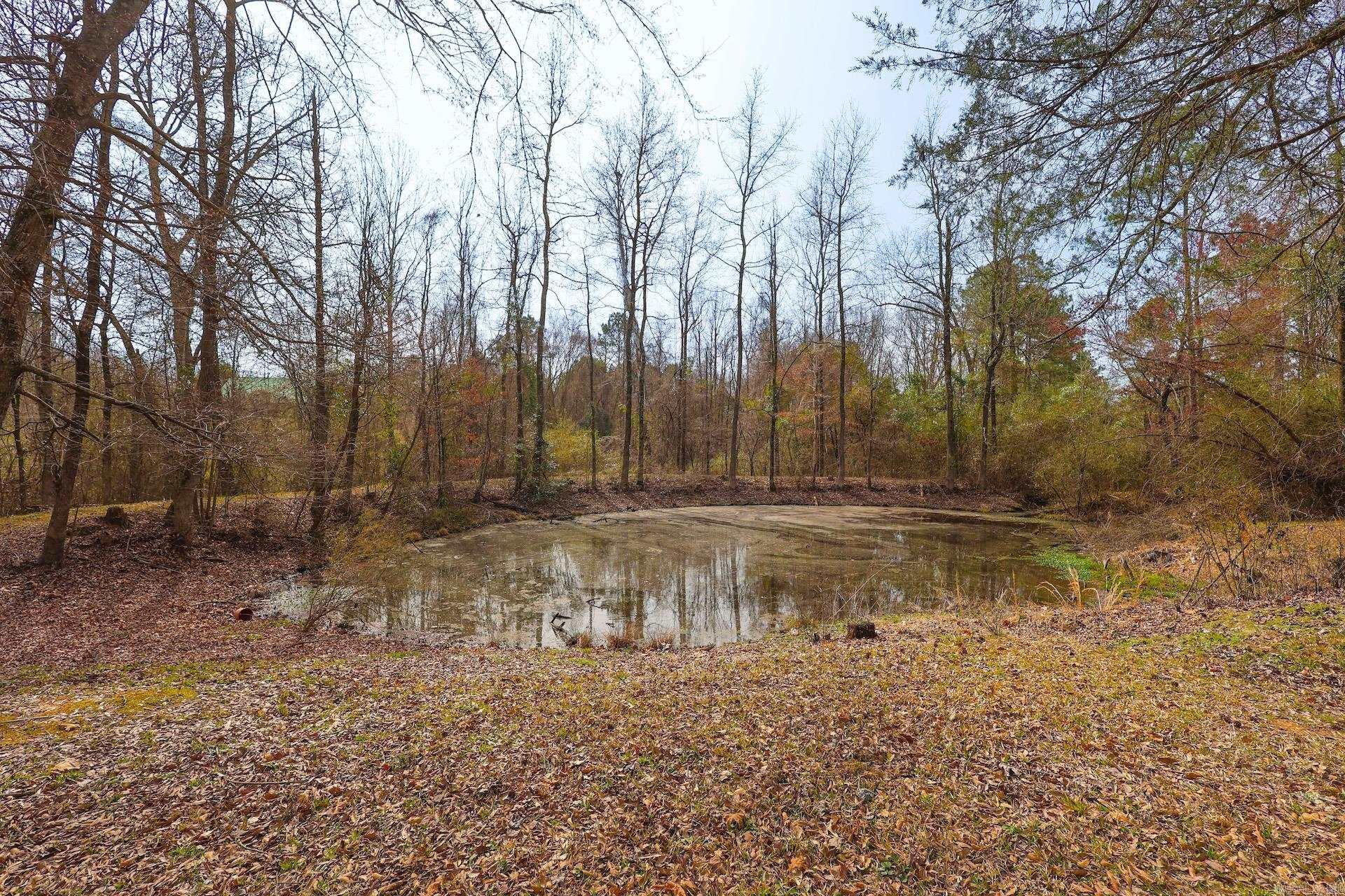 9 Bear Creek Property Photo 22