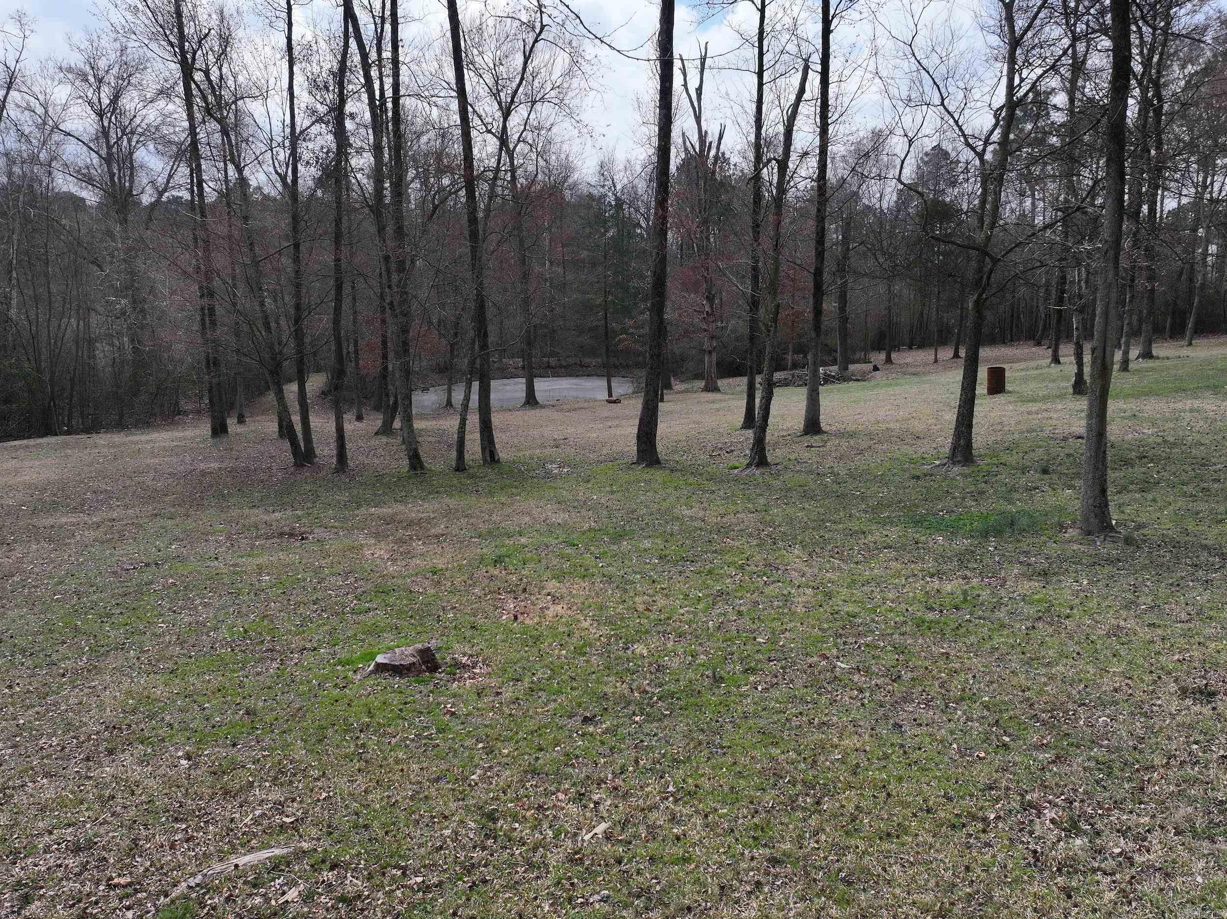 9 Bear Creek Property Photo 44