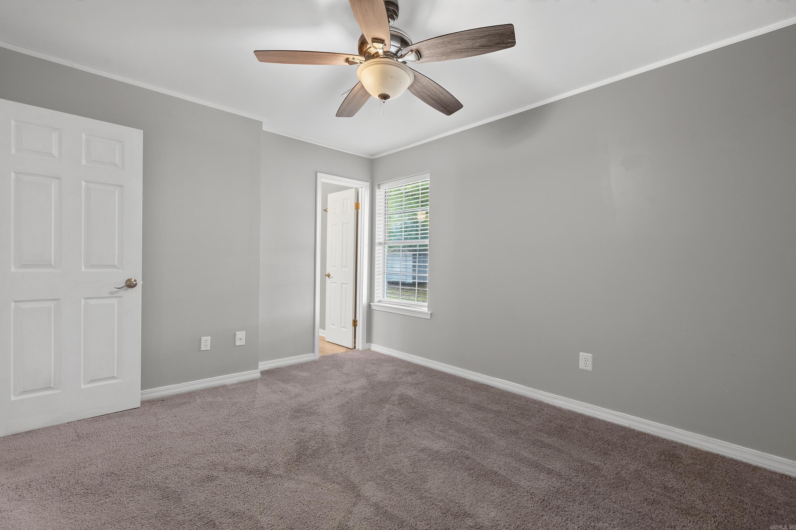 307 Ray Street Property Photo 23