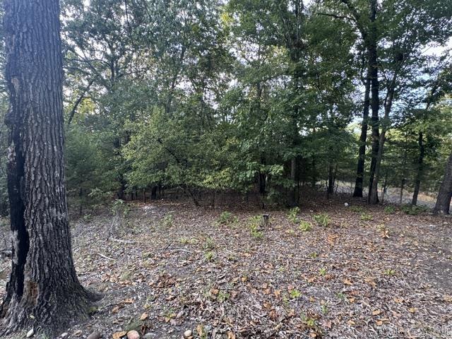 319 Bruce Mitchell Road Property Photo 2
