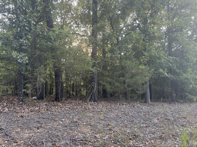 319 Bruce Mitchell Road Property Photo 4