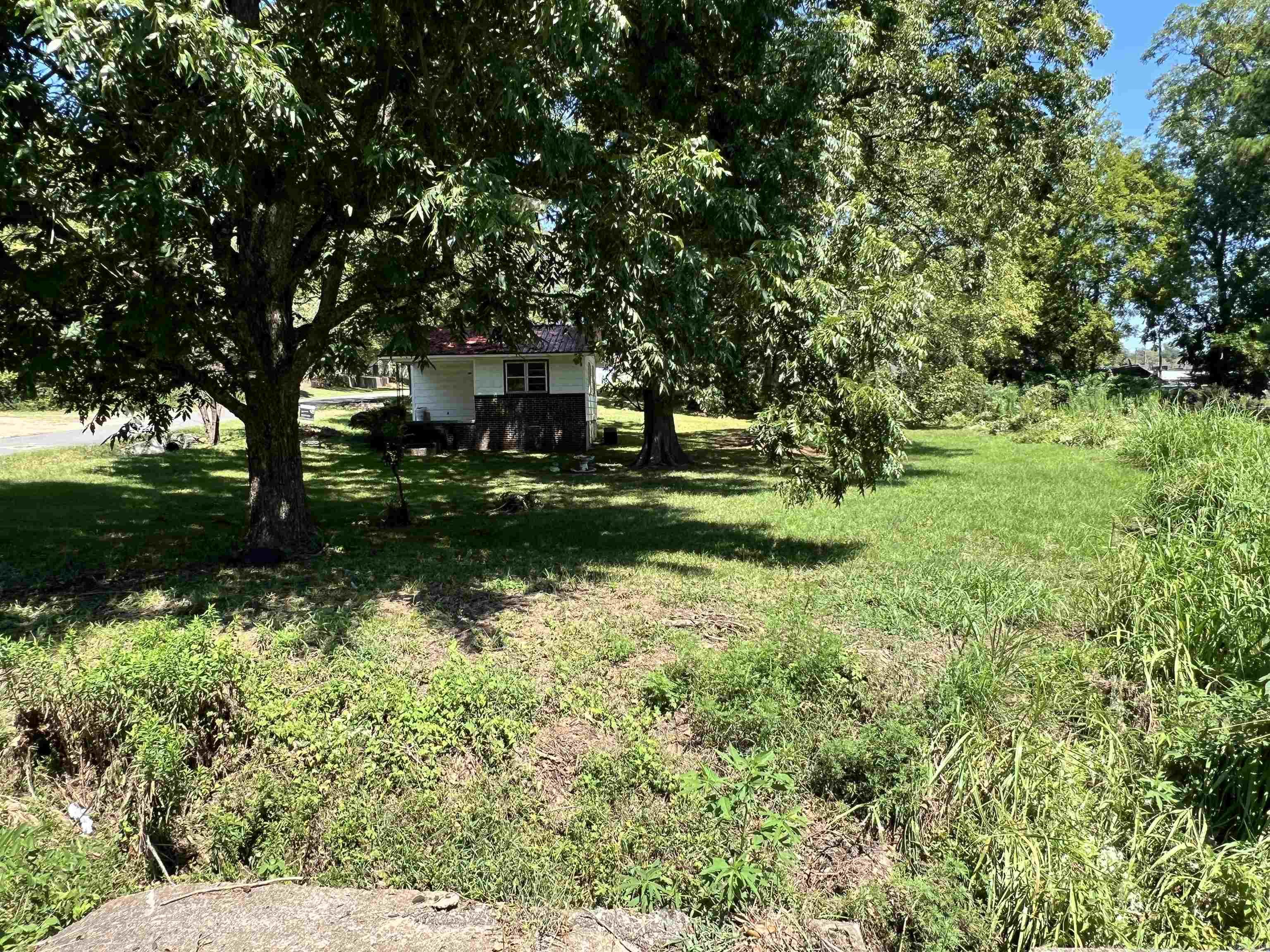 301 Pecan Street Property Photo 6