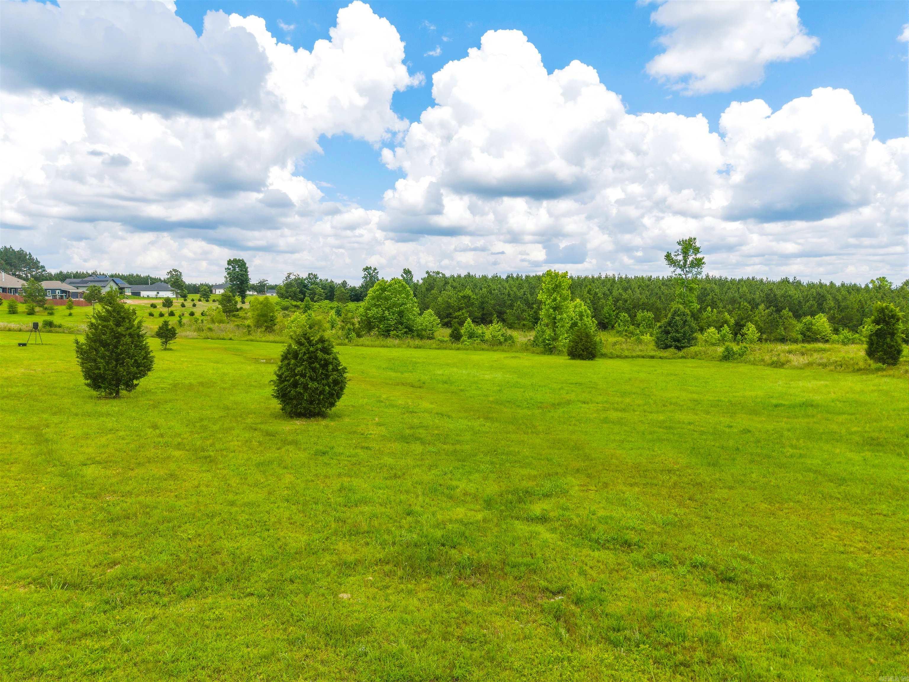 10634 Gunter Loop Property Photo 42