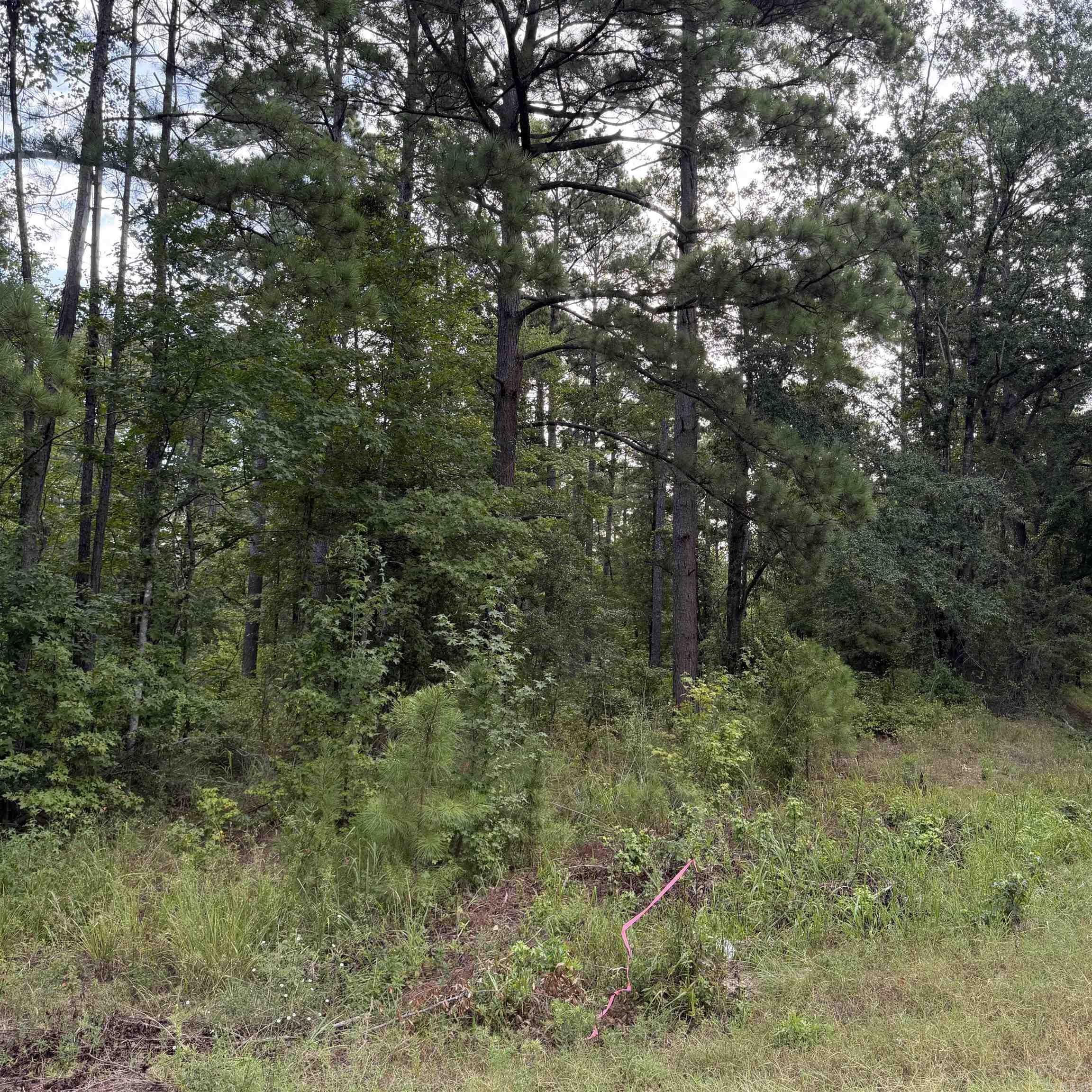 Lot 1 County Rd 8 Property Photo 1