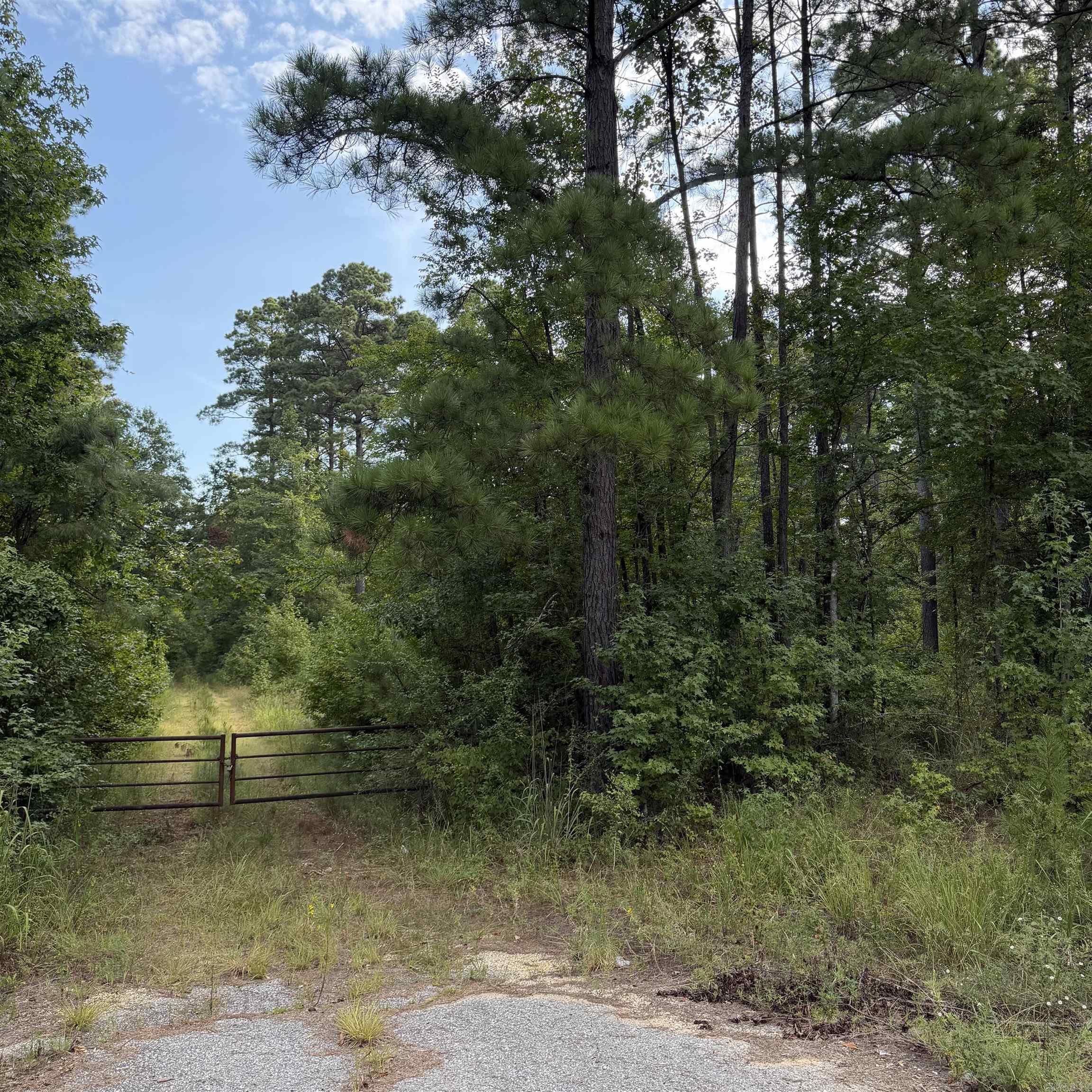 Lot 1 County Rd 8 Property Photo 3