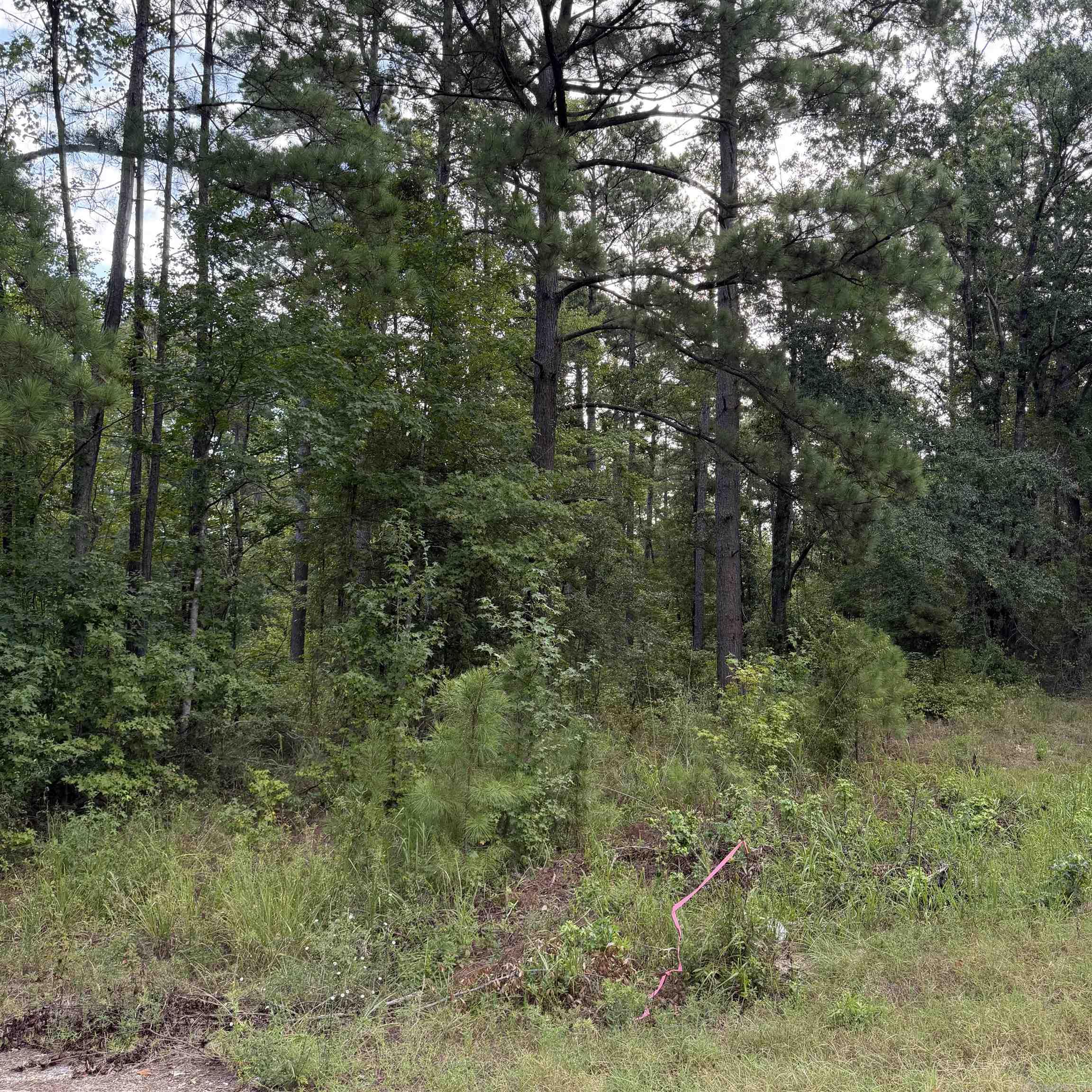 Lot 1 County Rd 8 Property Photo 5