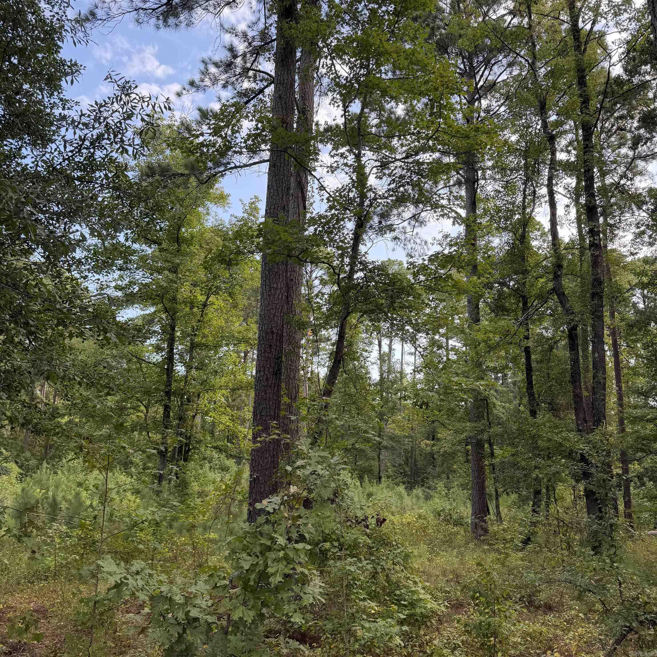 Lot 1 County Rd 8 Property Photo 6