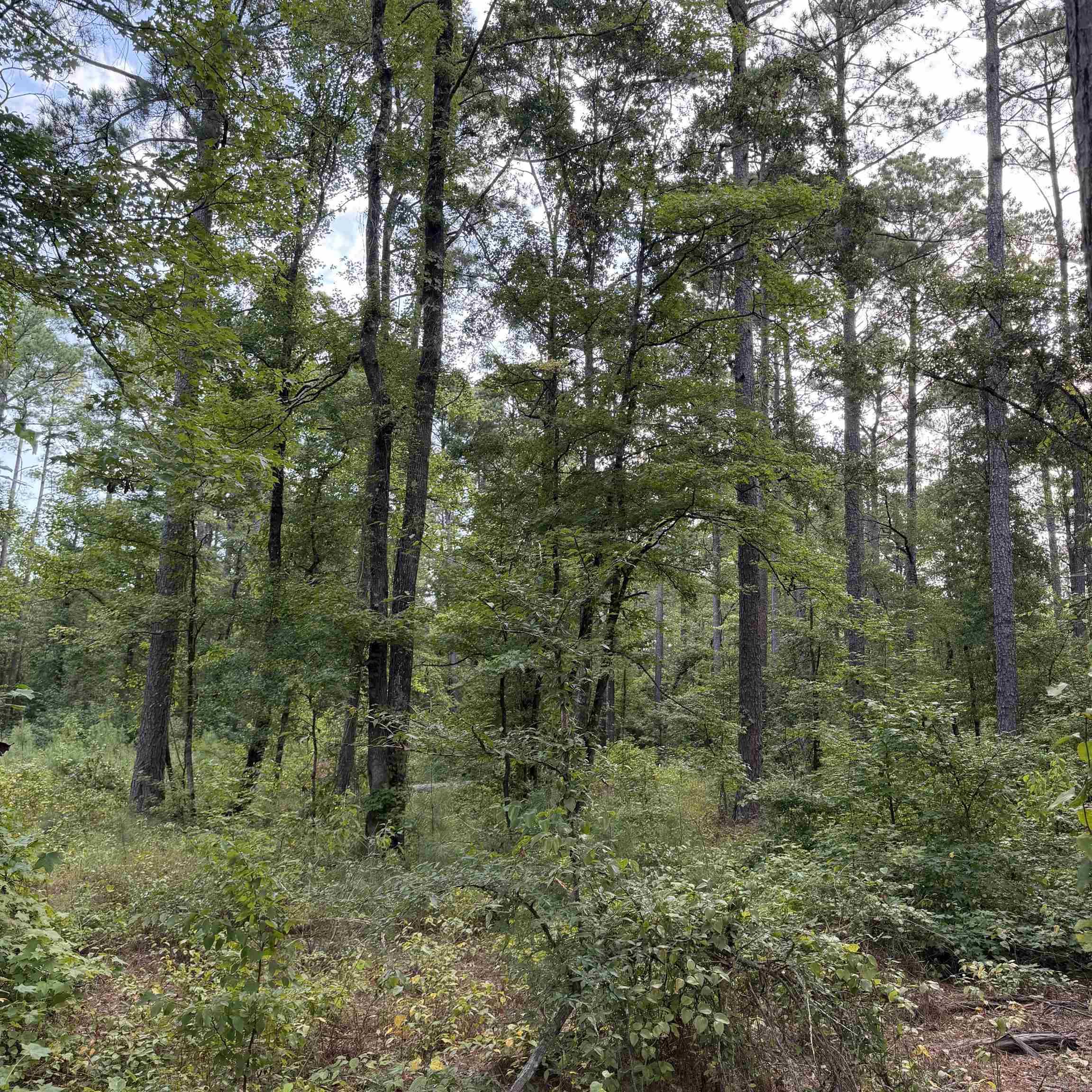 Lot 1 County Rd 8 Property Photo 7