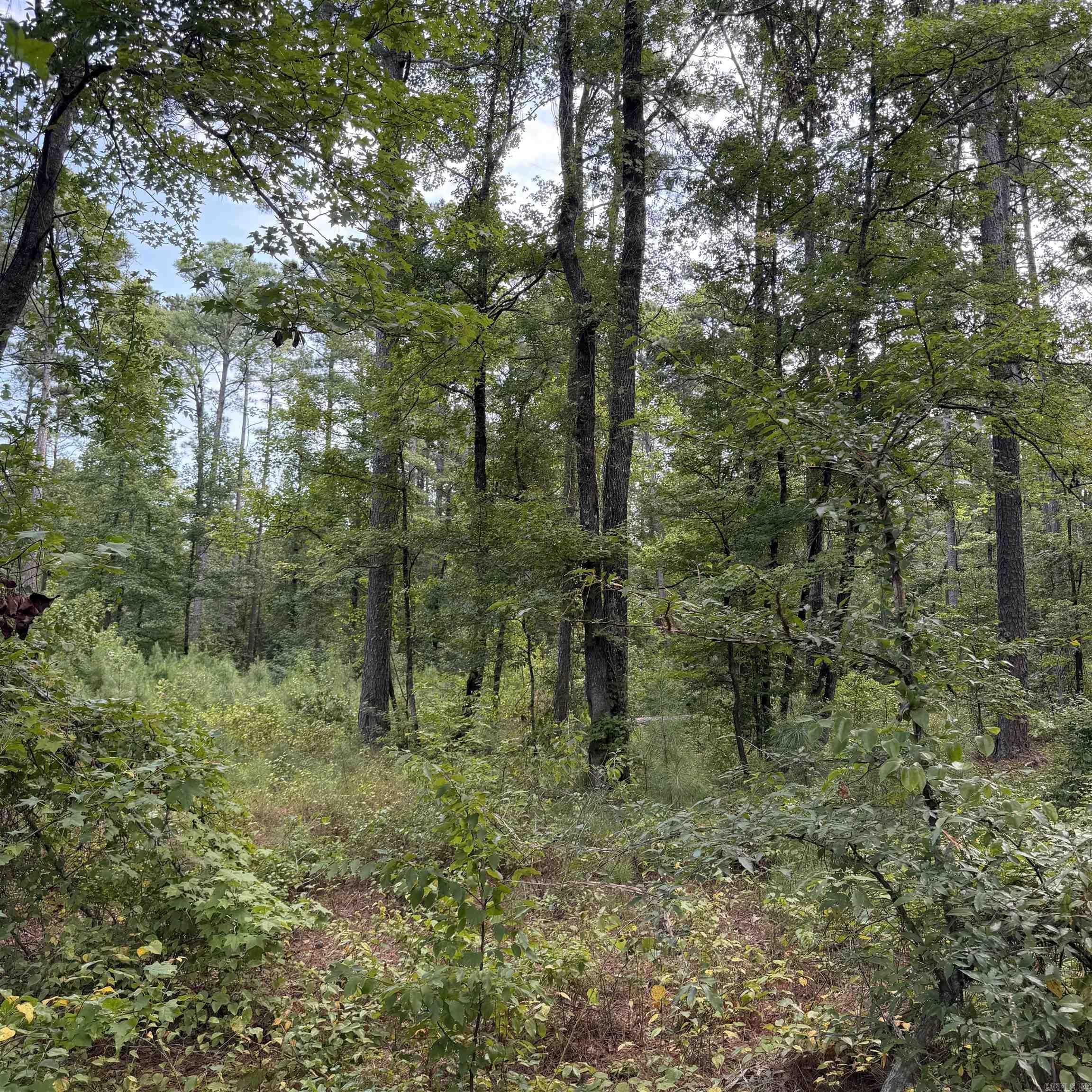 Lot 1 County Rd 8 Property Photo 8