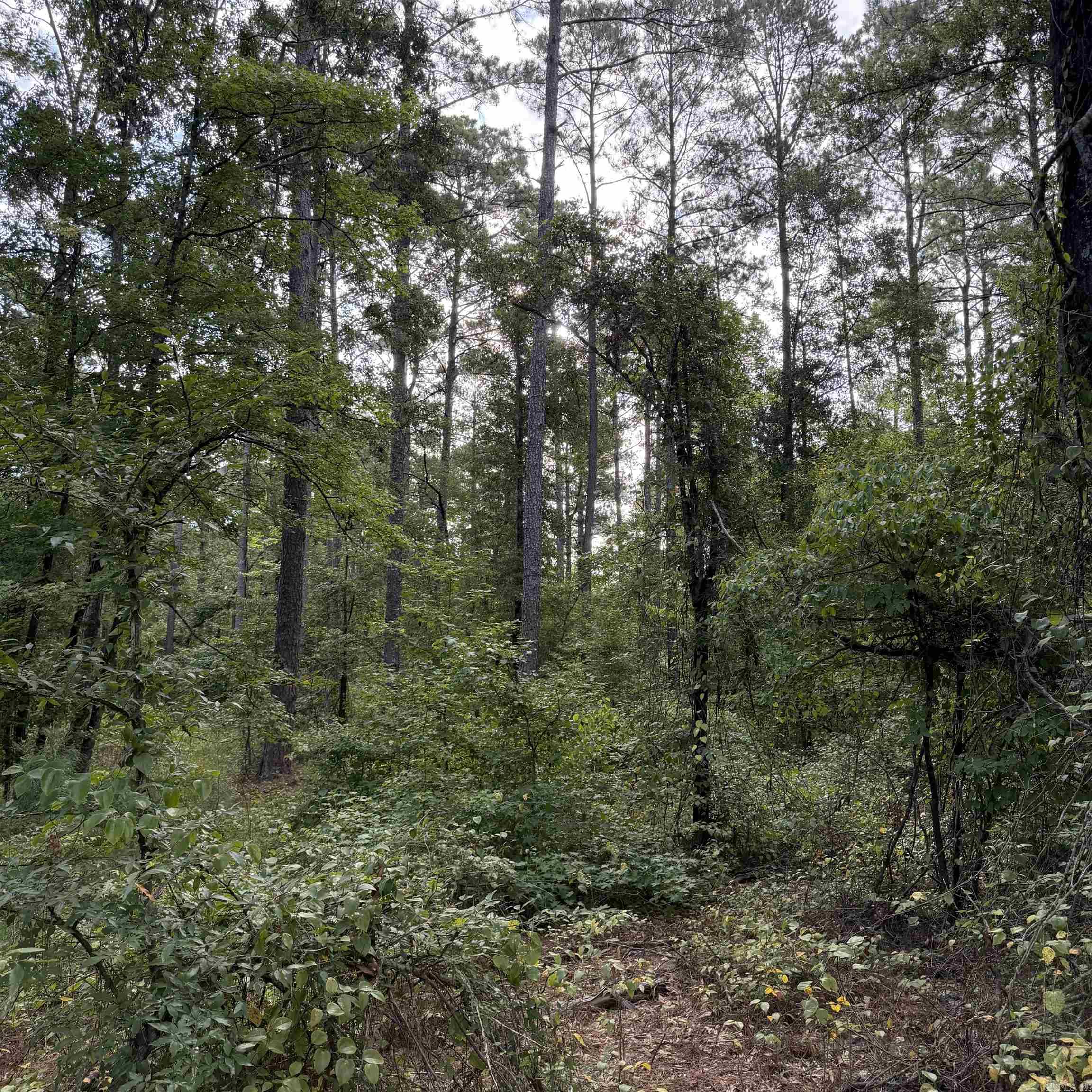 Lot 1 County Rd 8 Property Photo 9