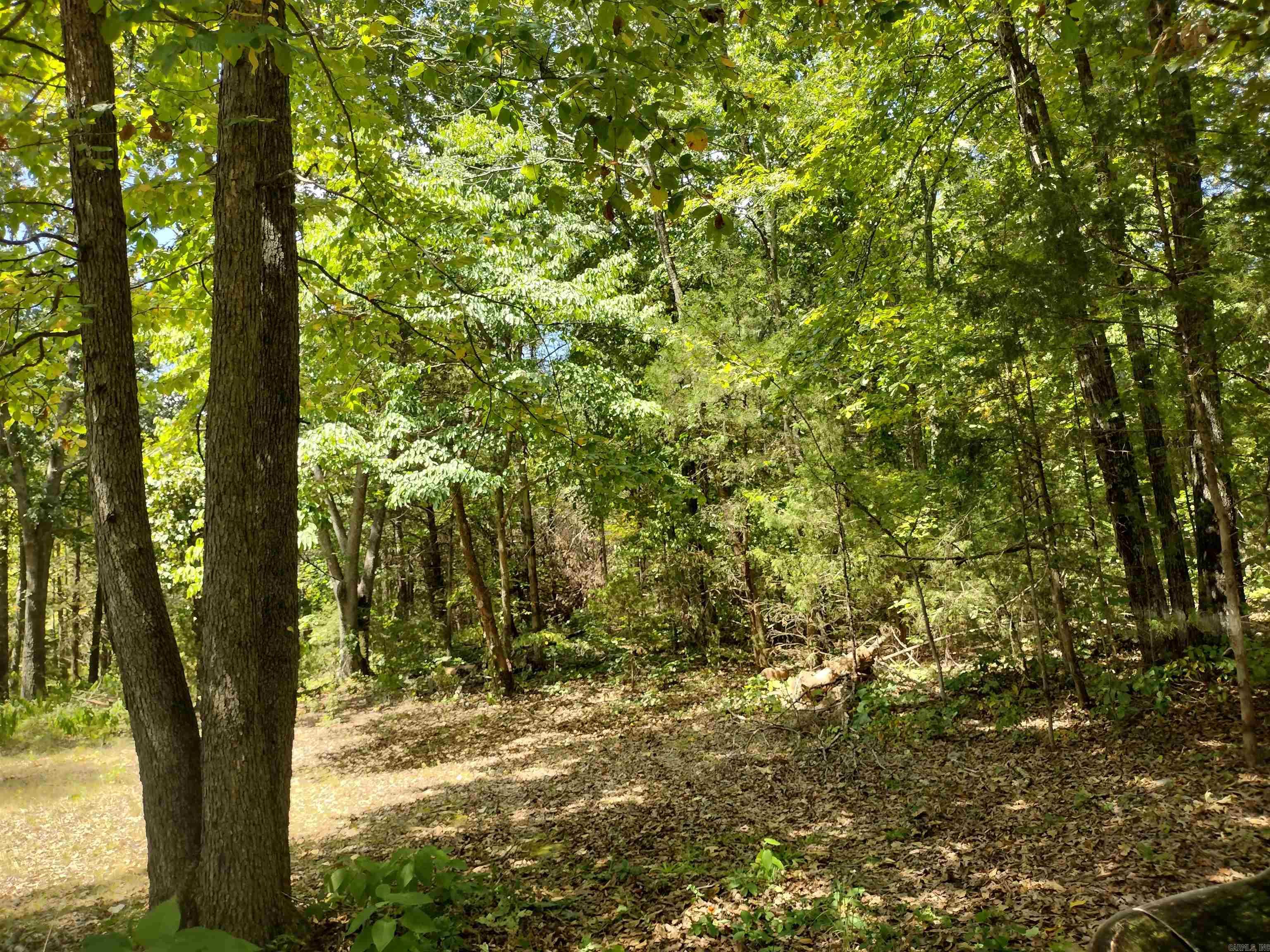 455 Leaser Rd Property Photo 2