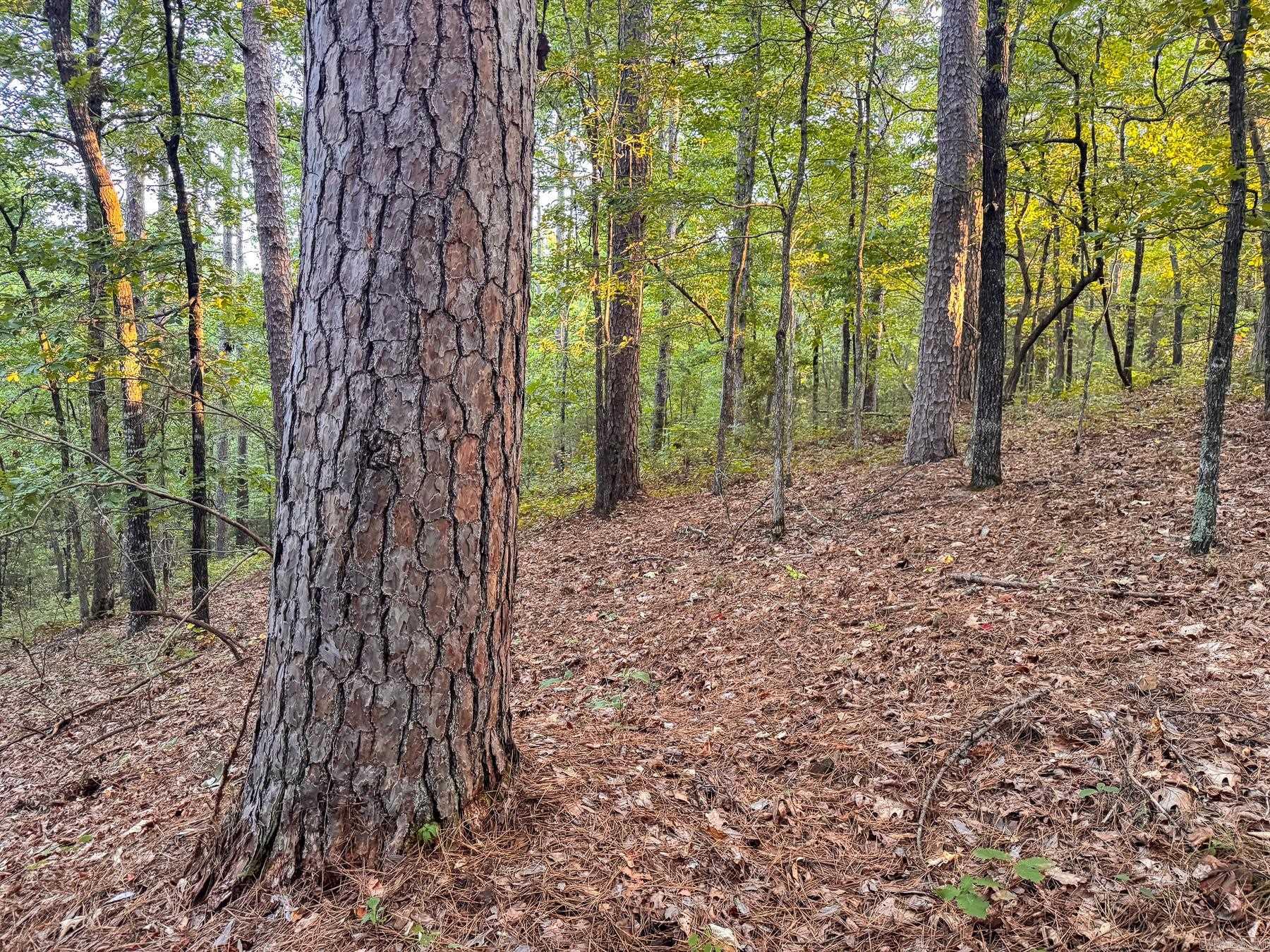 000 Hall Farm Road Property Photo 35