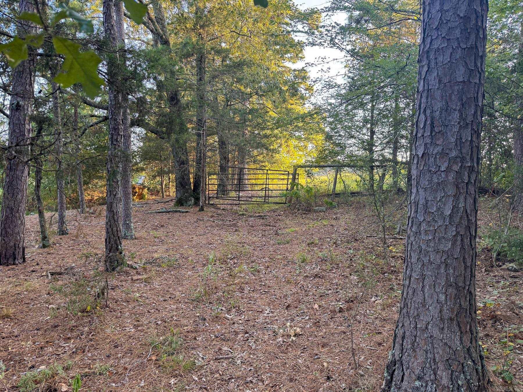 000 Hall Farm Road Property Photo 49