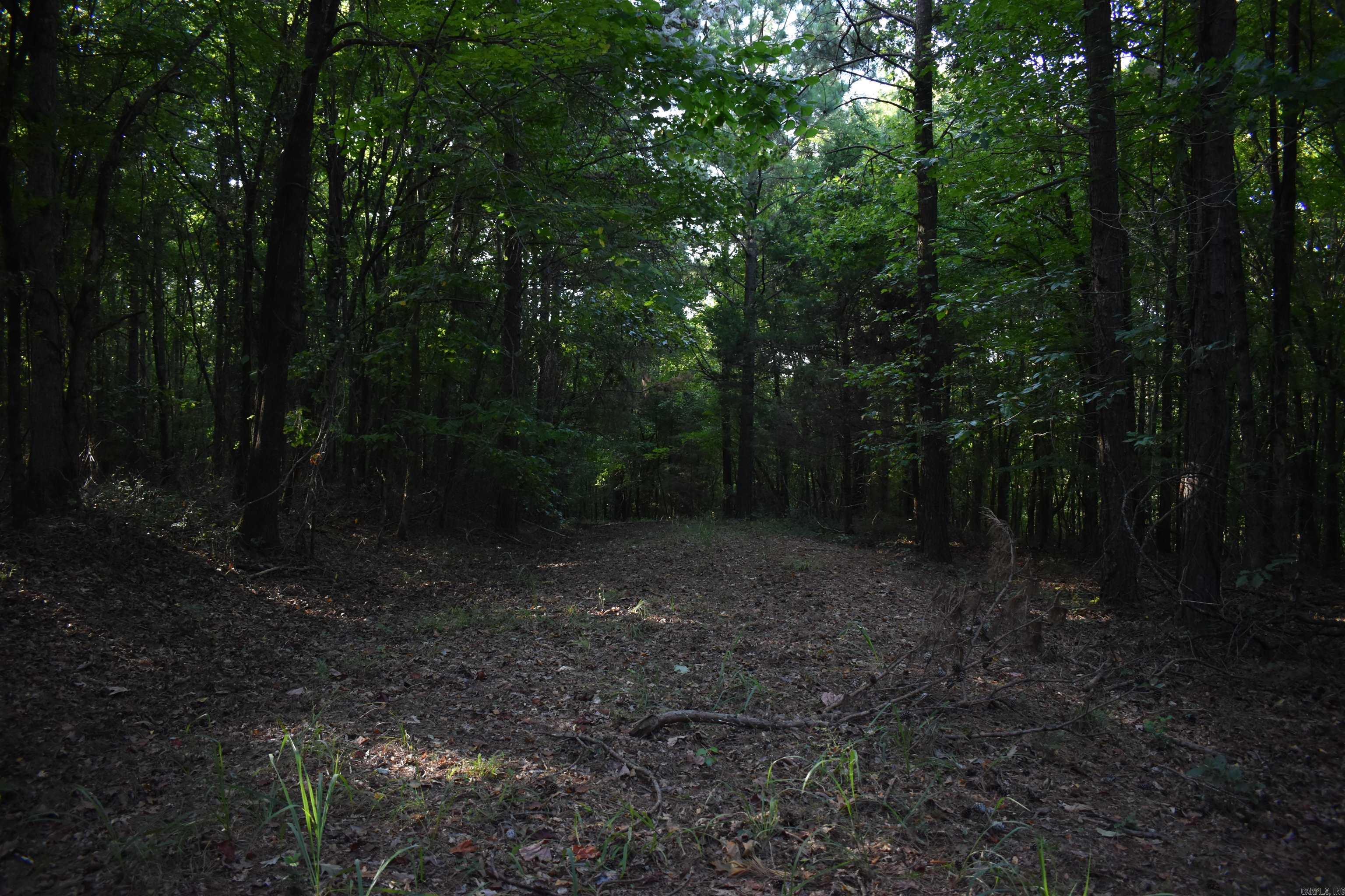 0000 Baker Rd Property Photo 17