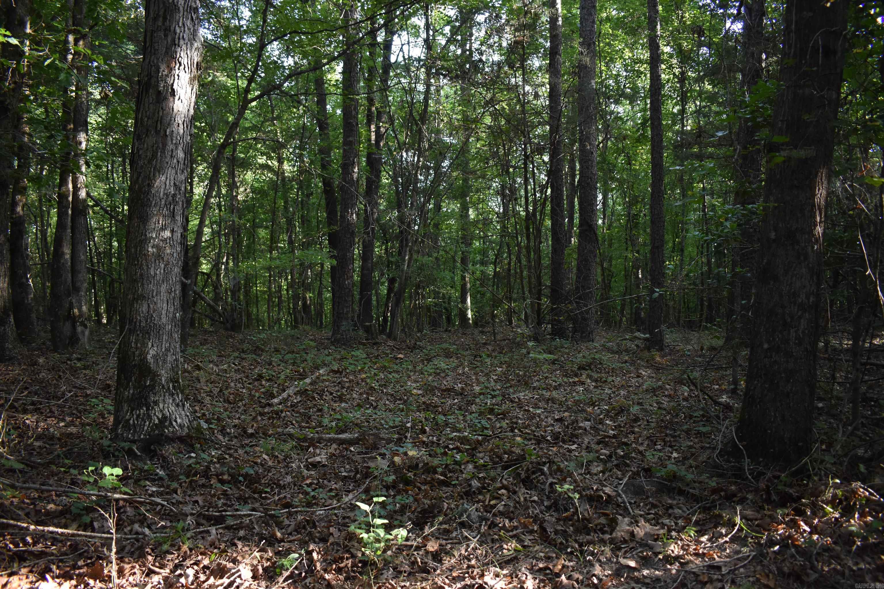 0000 Baker Rd Property Photo 18