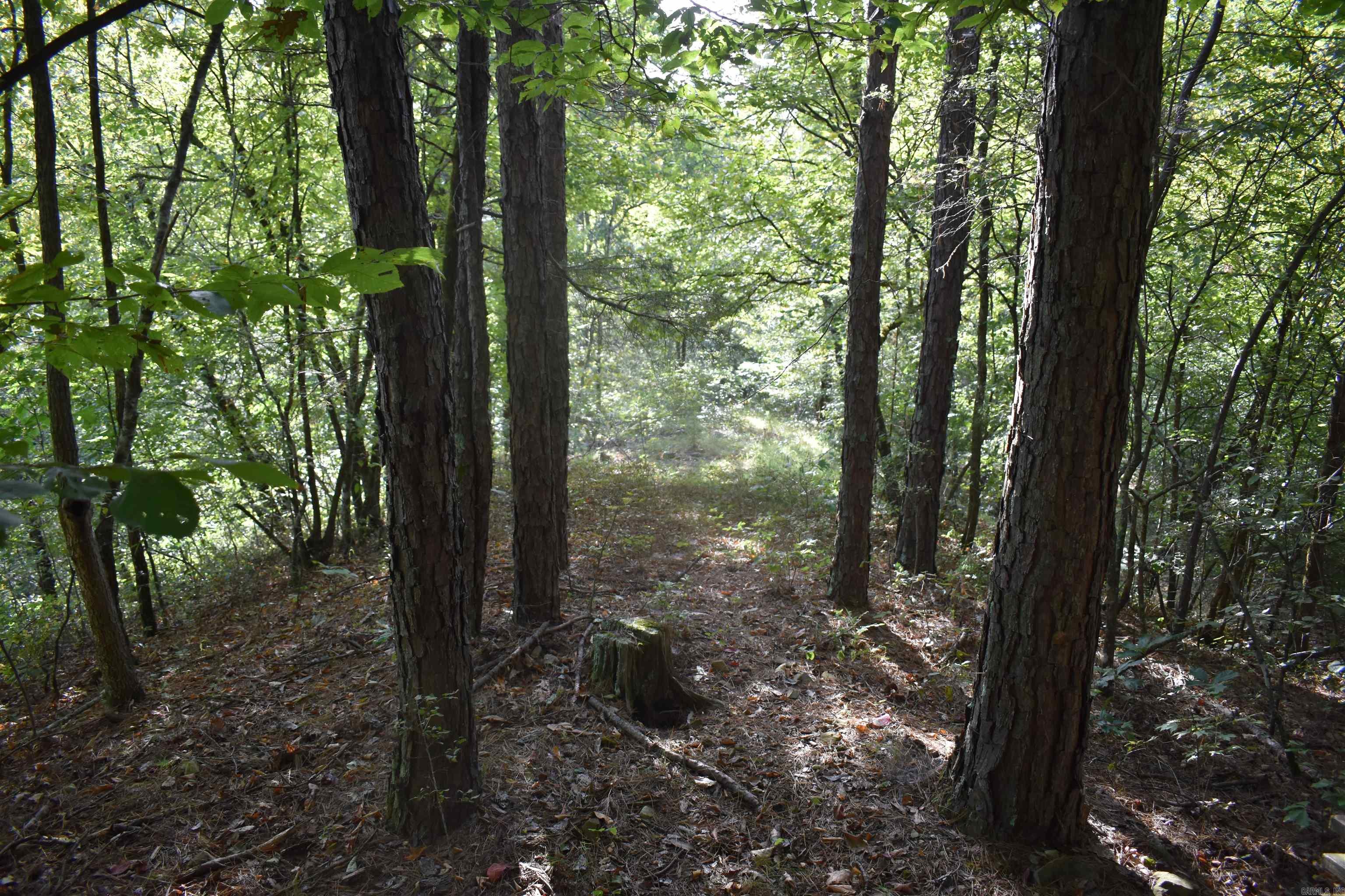 0000 Baker Rd Property Photo 34